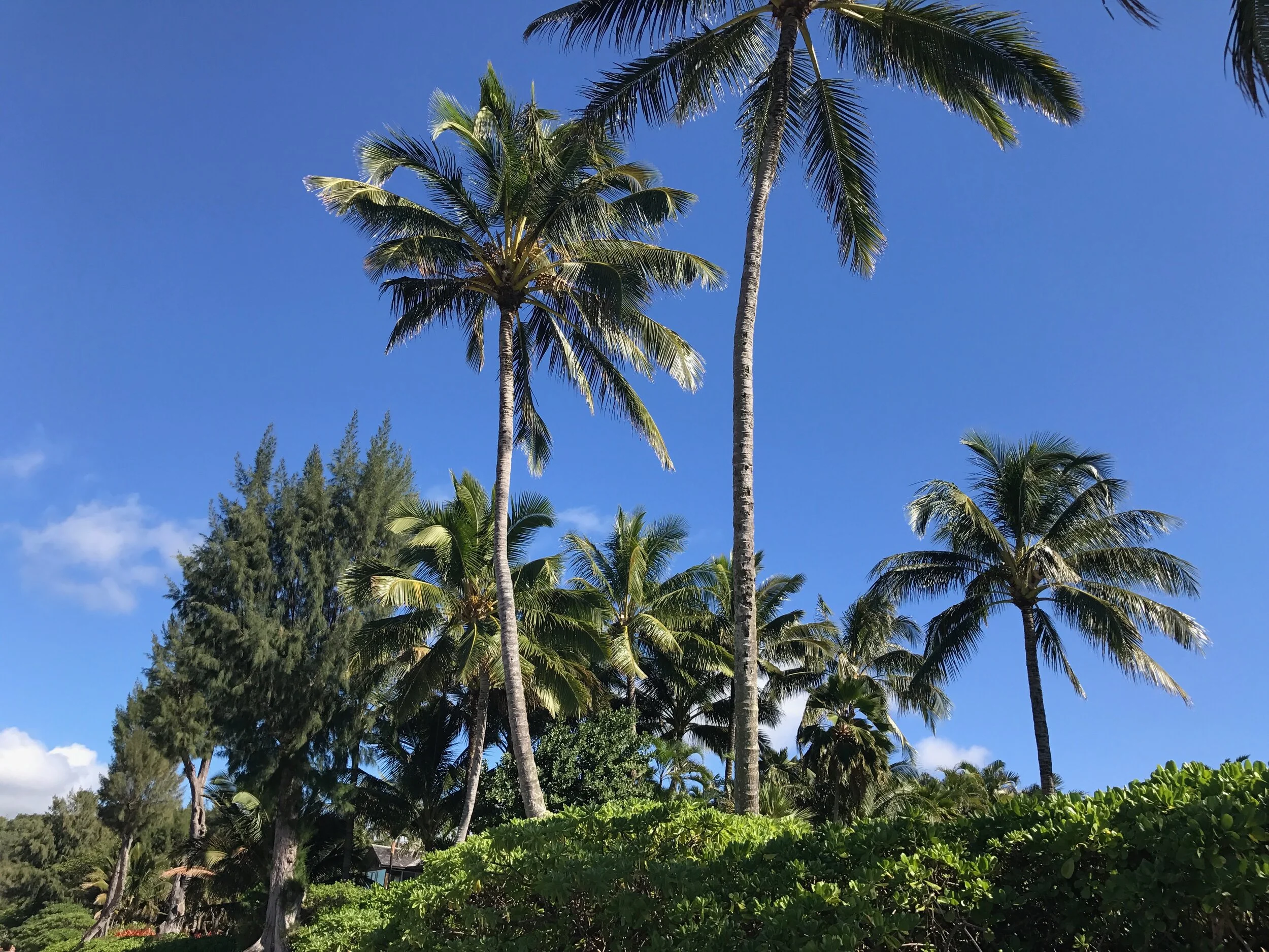 Connie Hunt Photography Anini Beach East (2017)