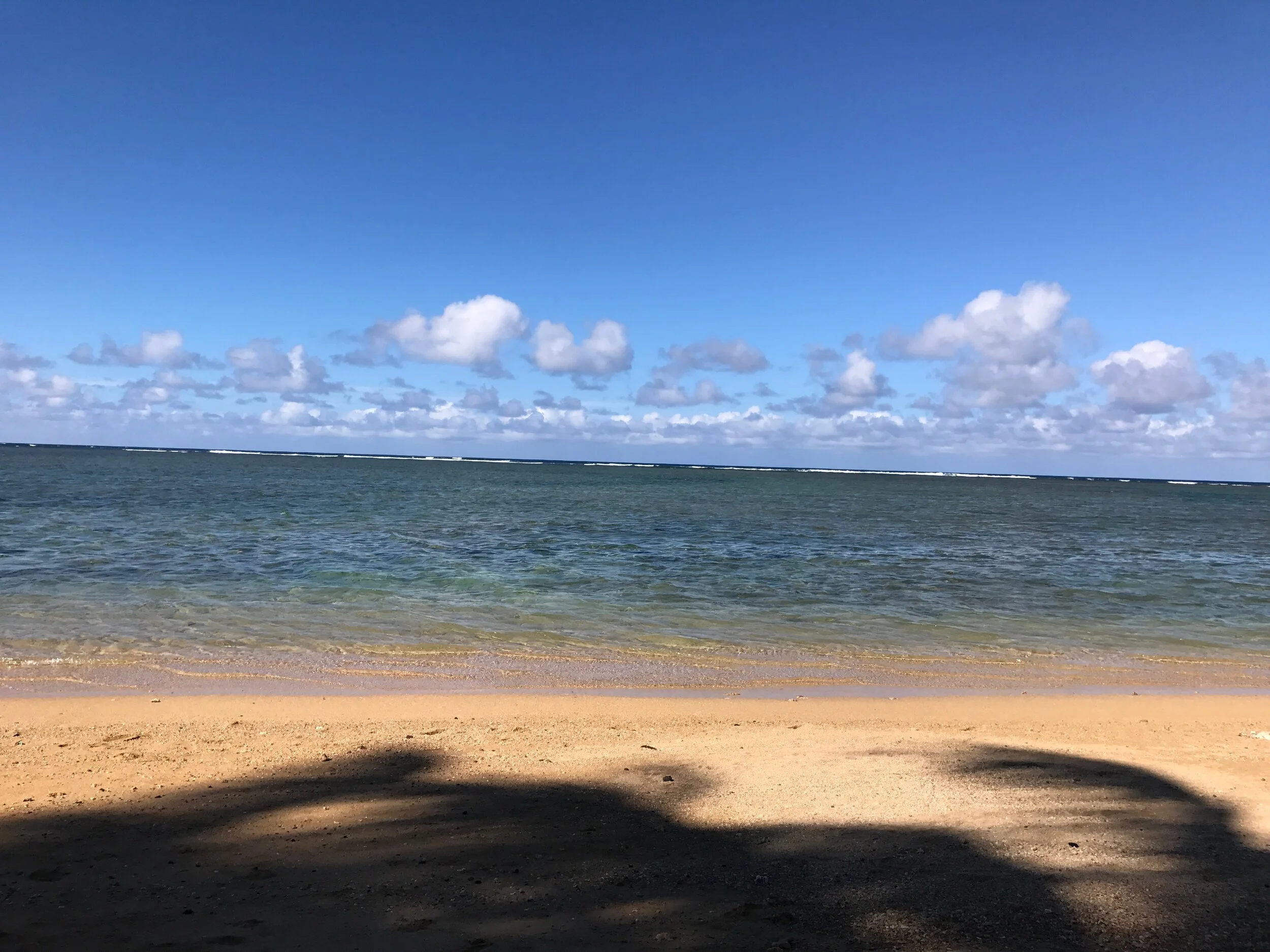 Connie Hunt Photography Anini Rest"(2017)