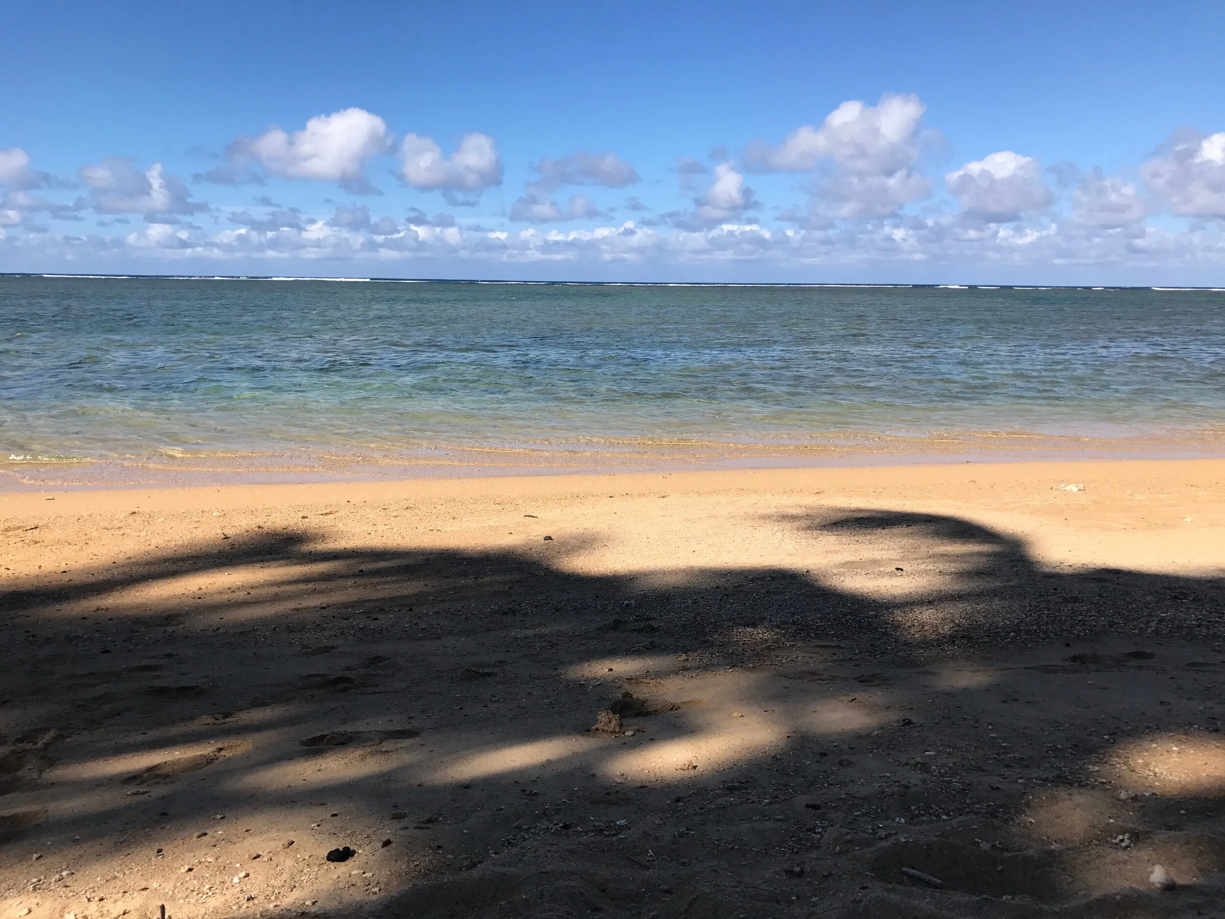 Connie Hunt Anini Shadows (2017)