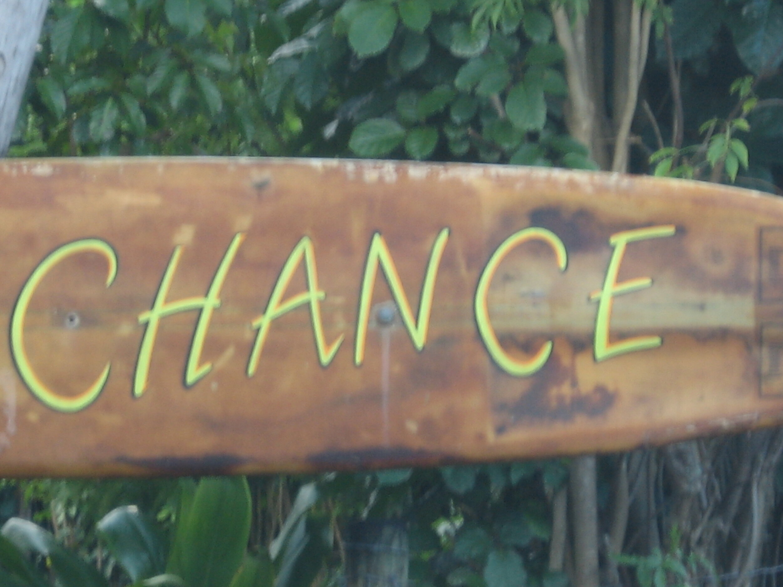 Connie Hunt Photography Another Chance (2005)