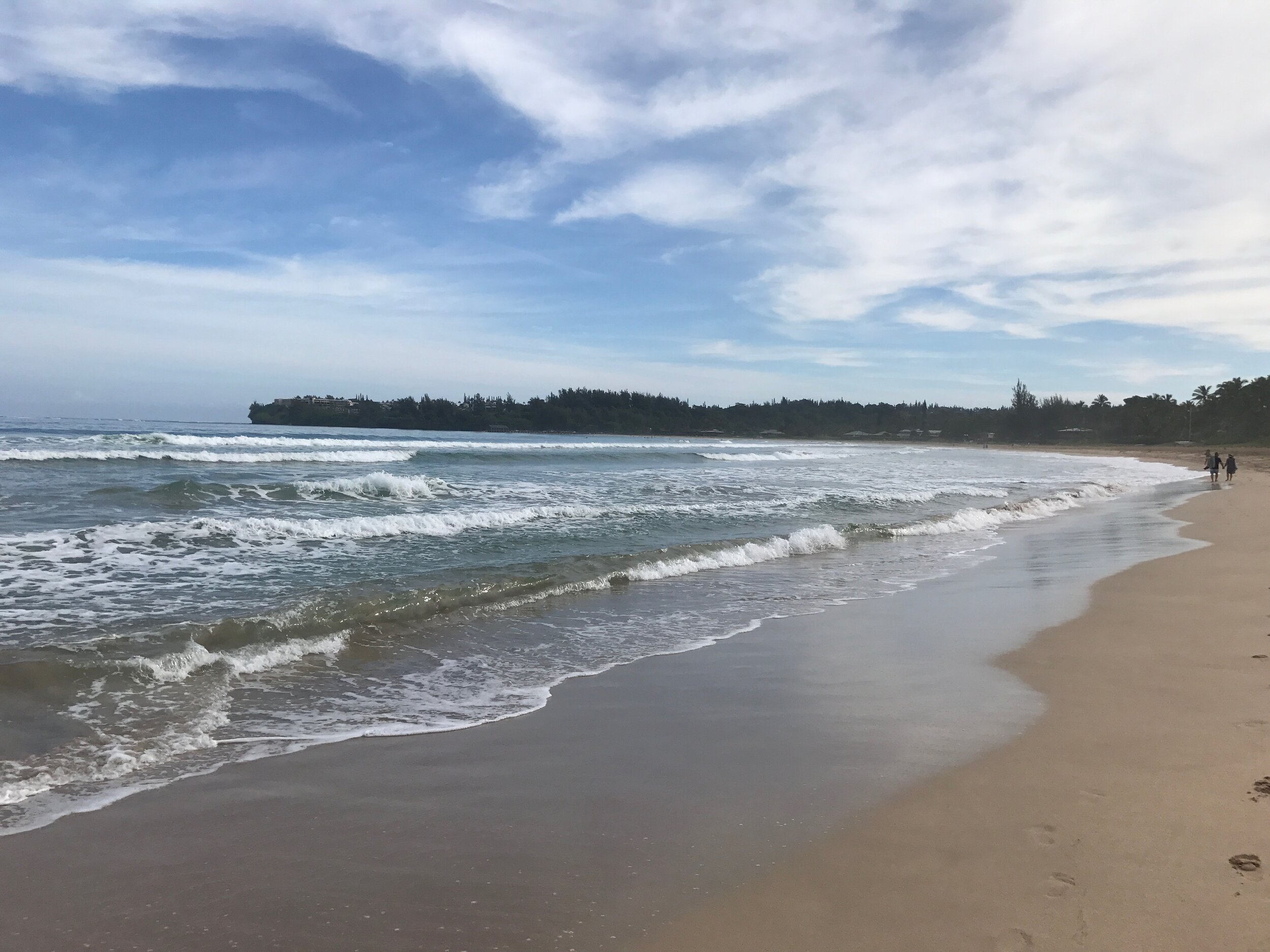 Connie Hunt Photography First Bay Walk in a While (2017)
