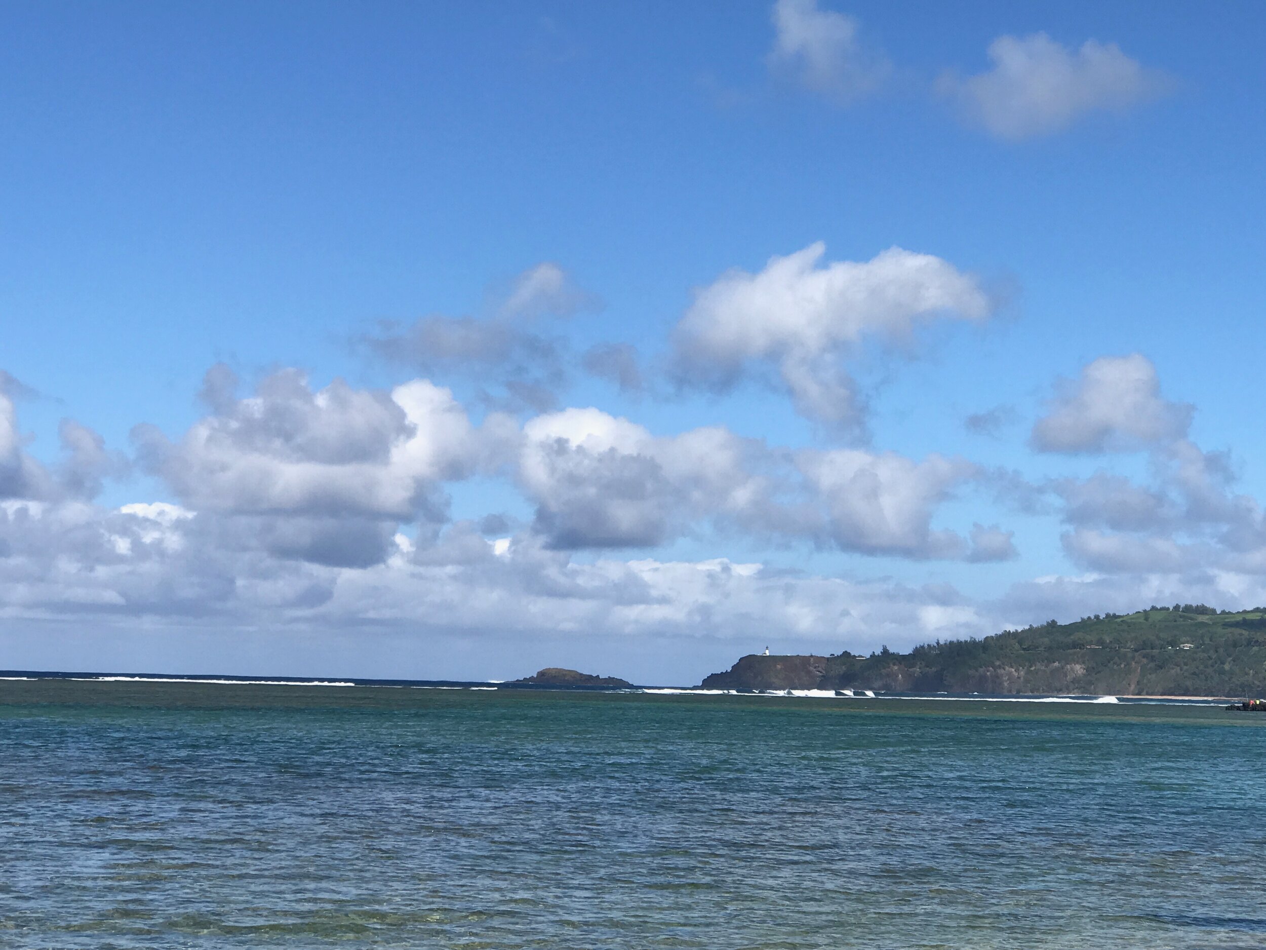 Connie Hunt Photography Kilauea Lighthouse from Anini (2017)