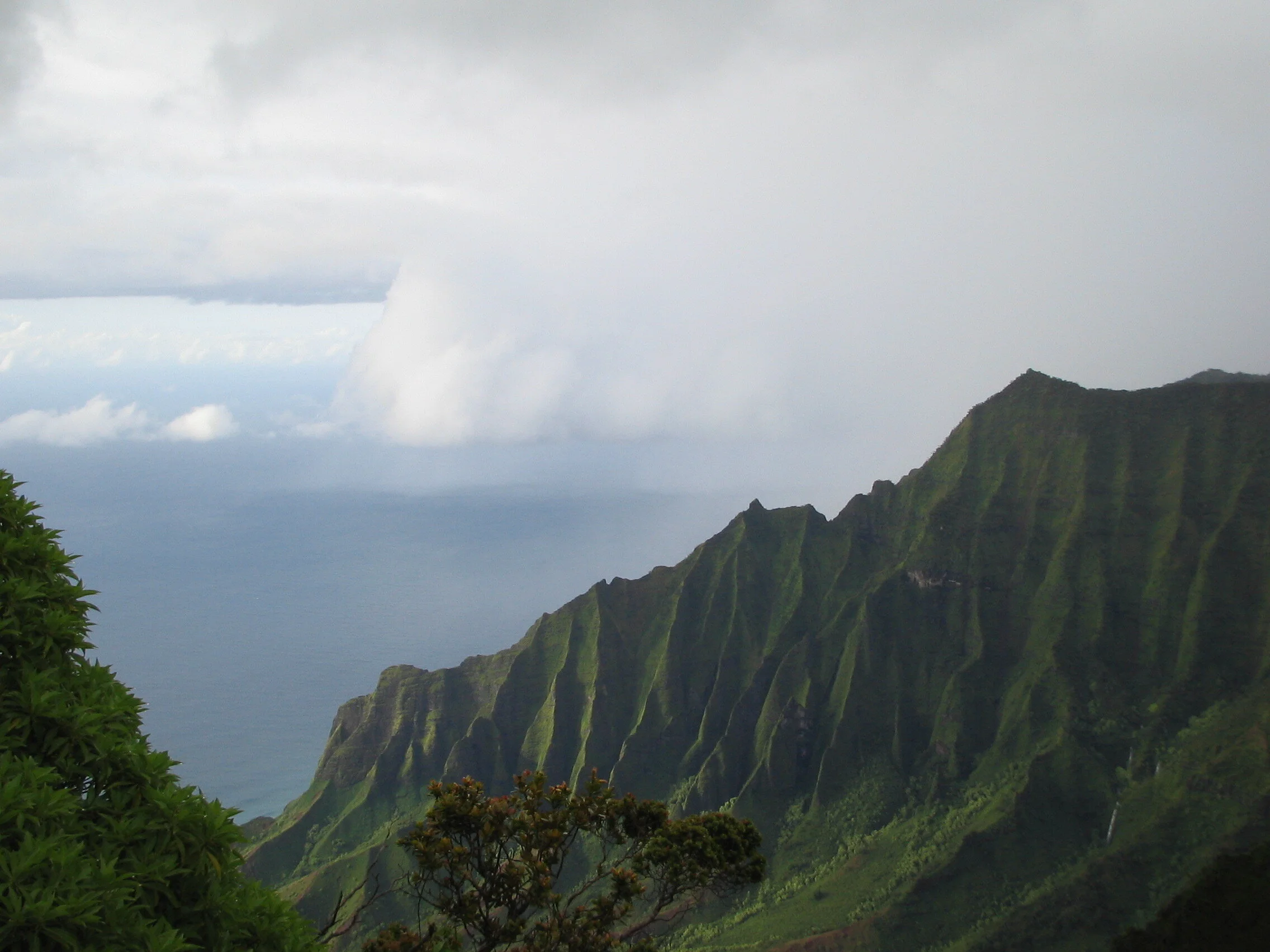 Connie Hunt Photography NaPali Lookout Waimea NW (2004)