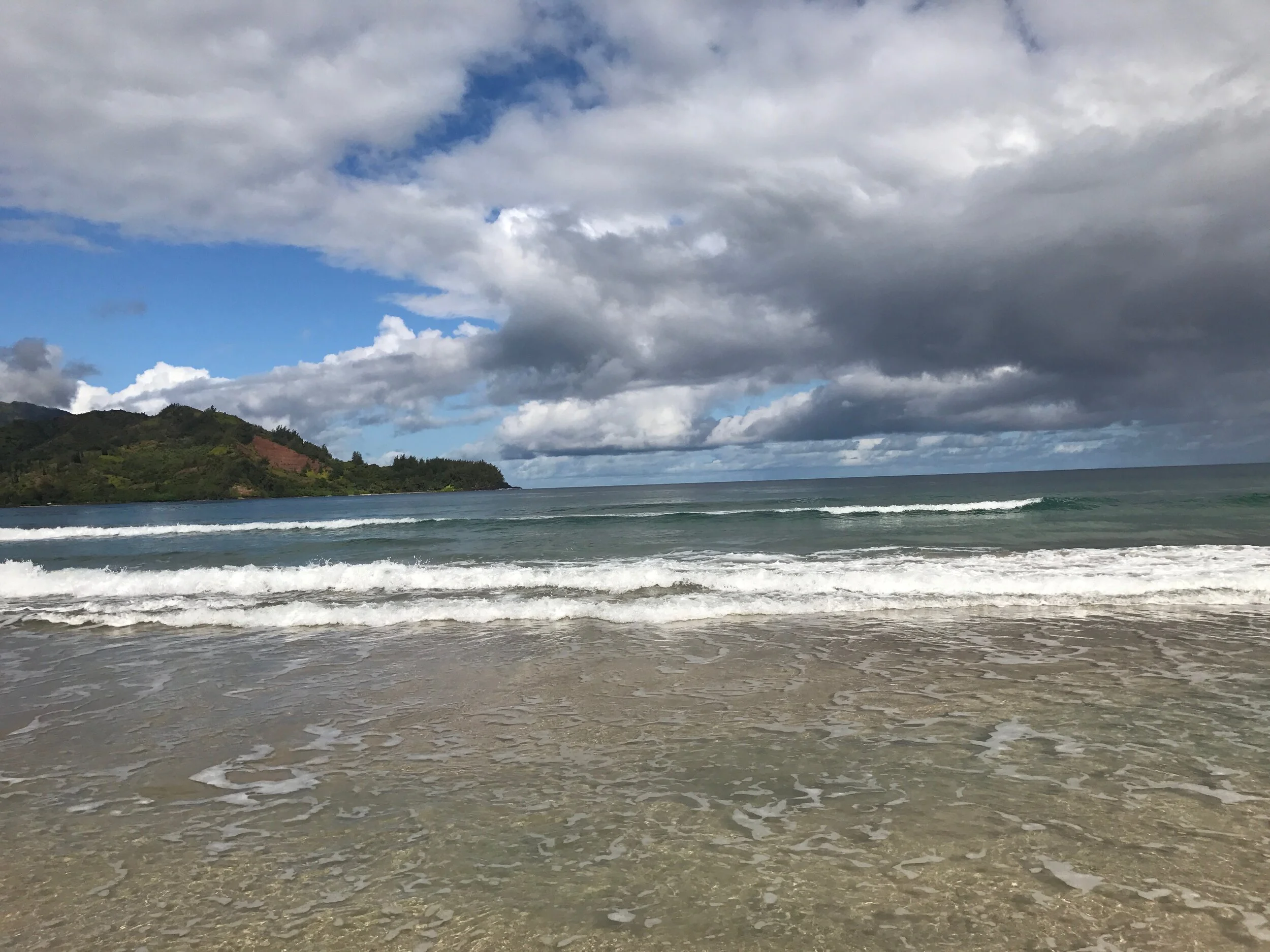 Connie Hunt Photography The Bay to Waikokos (2017)