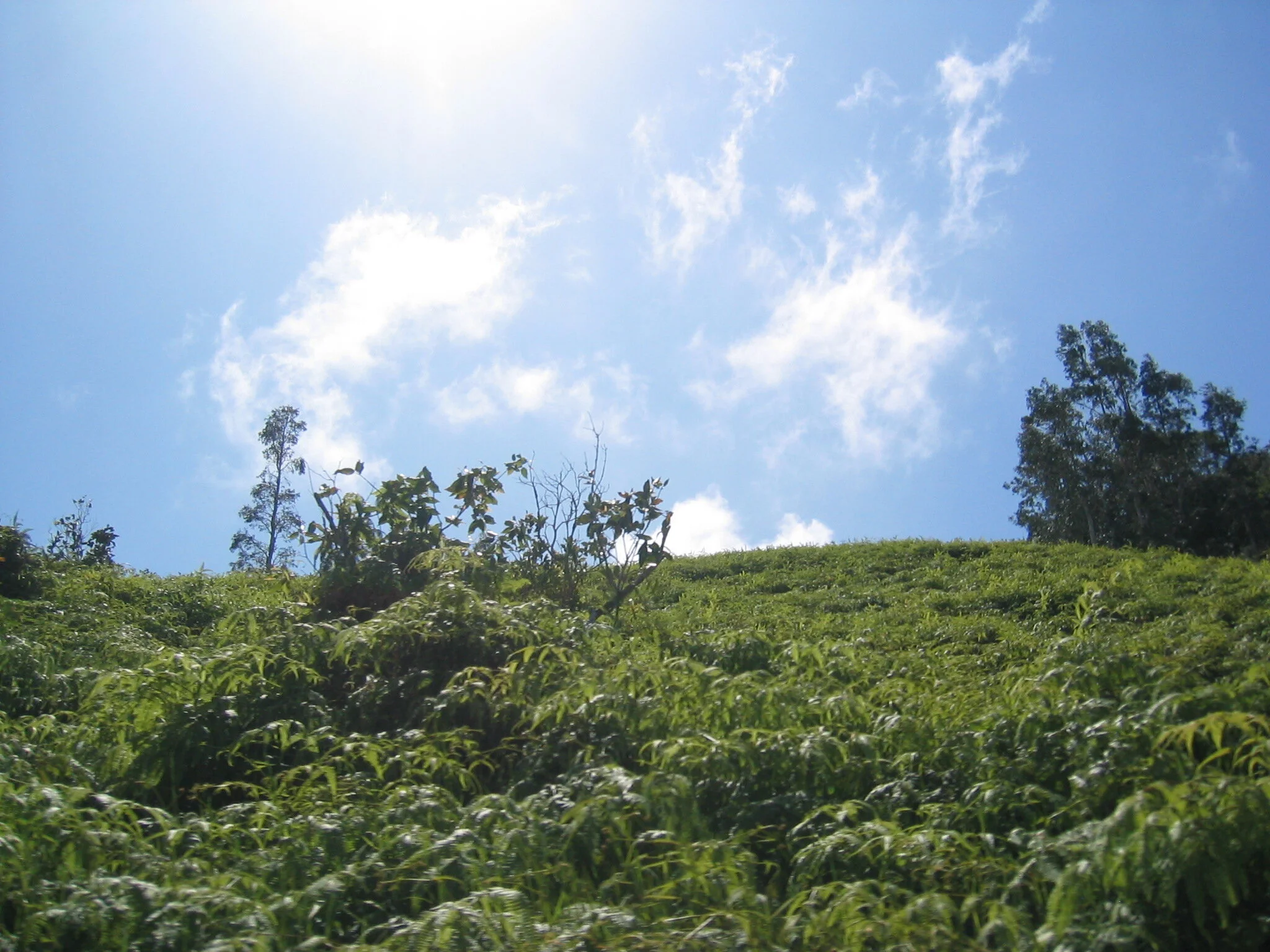 Connie Hunt Photography Wells ATV Jurassic Hillside (2005)
