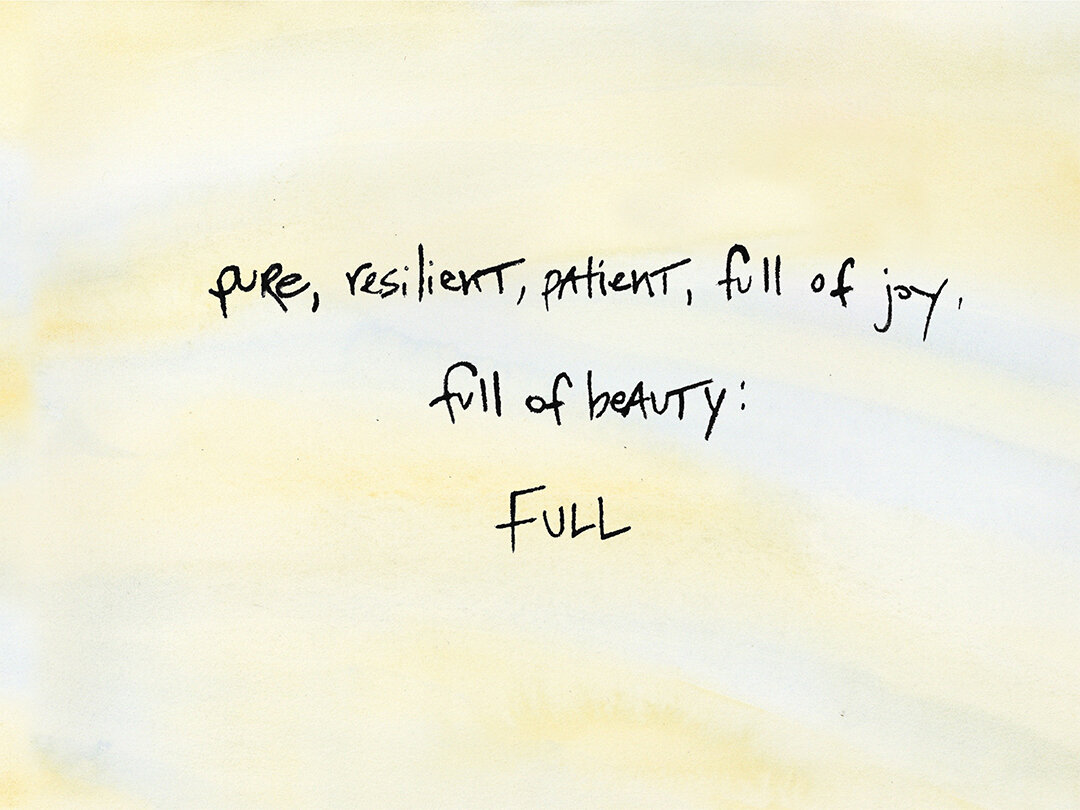 Full by Connie Hunt