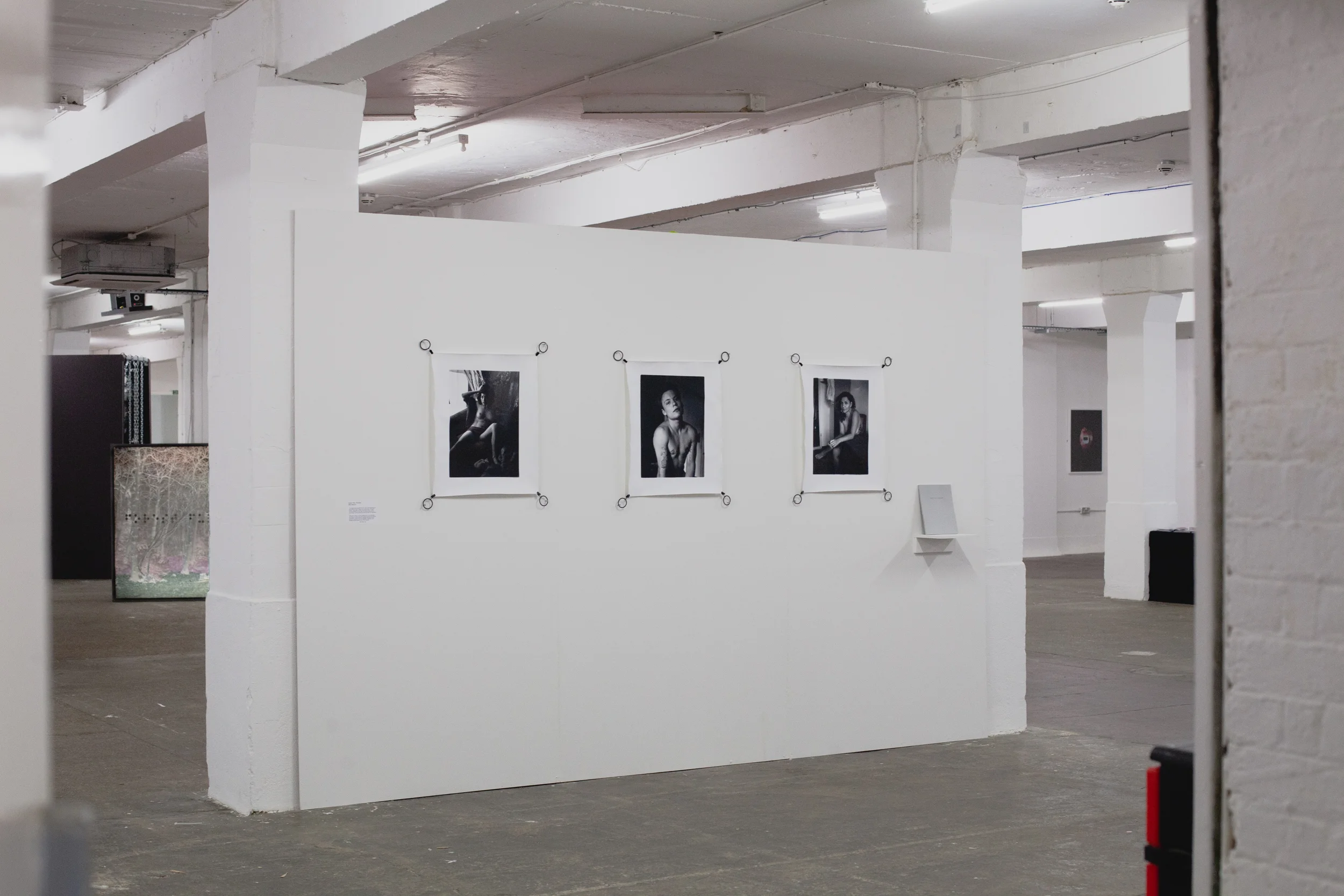 Free Range Exhibition 