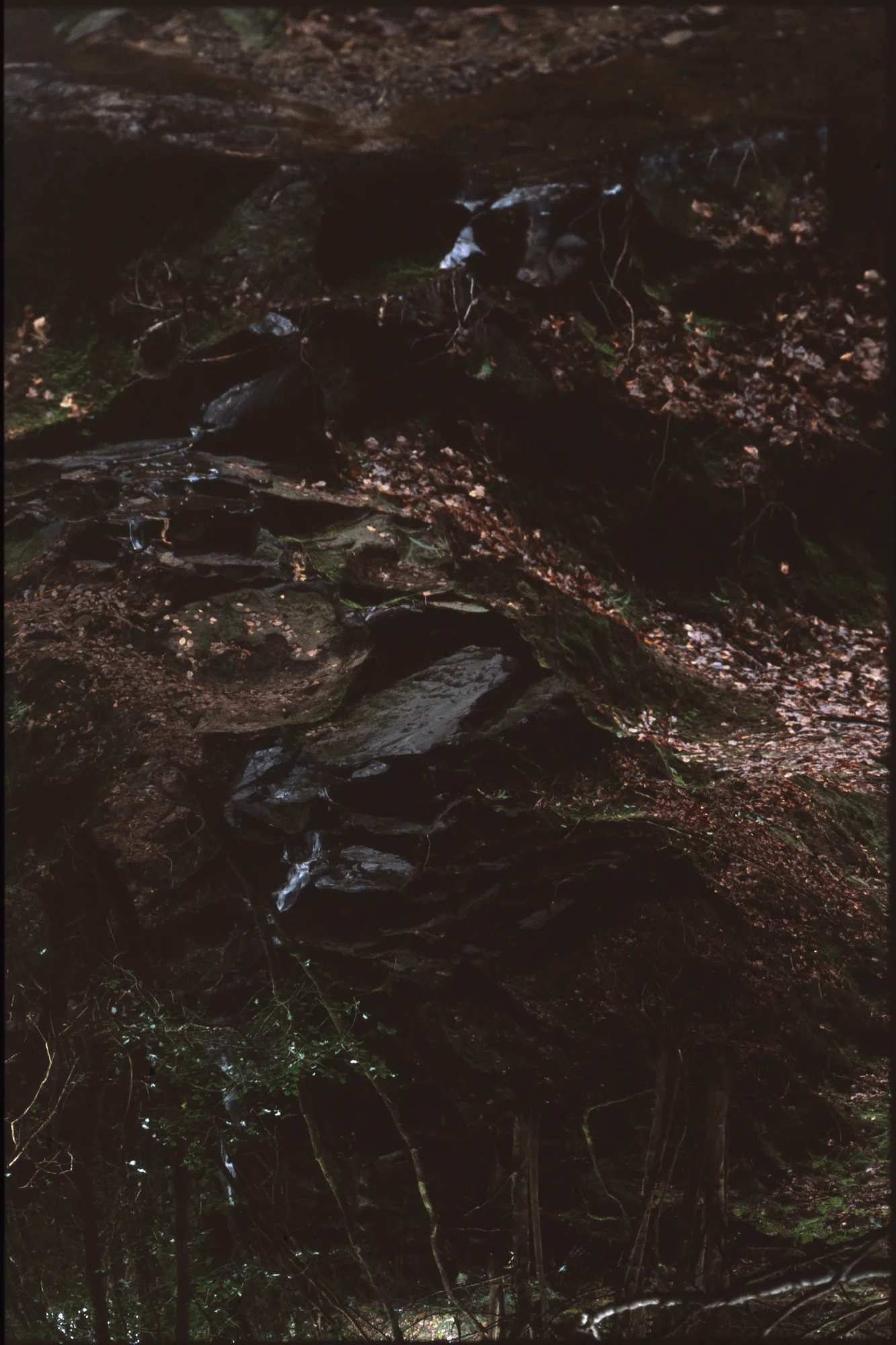raw0002.jpg