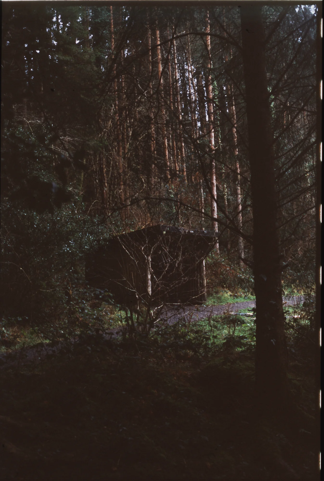 raw0011.jpg