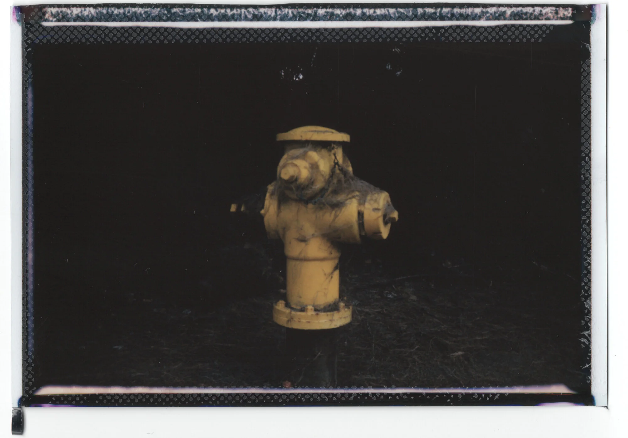 scan08.jpg