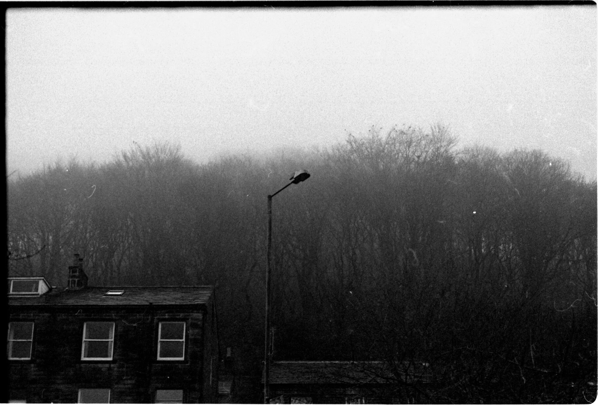 scan15.jpg