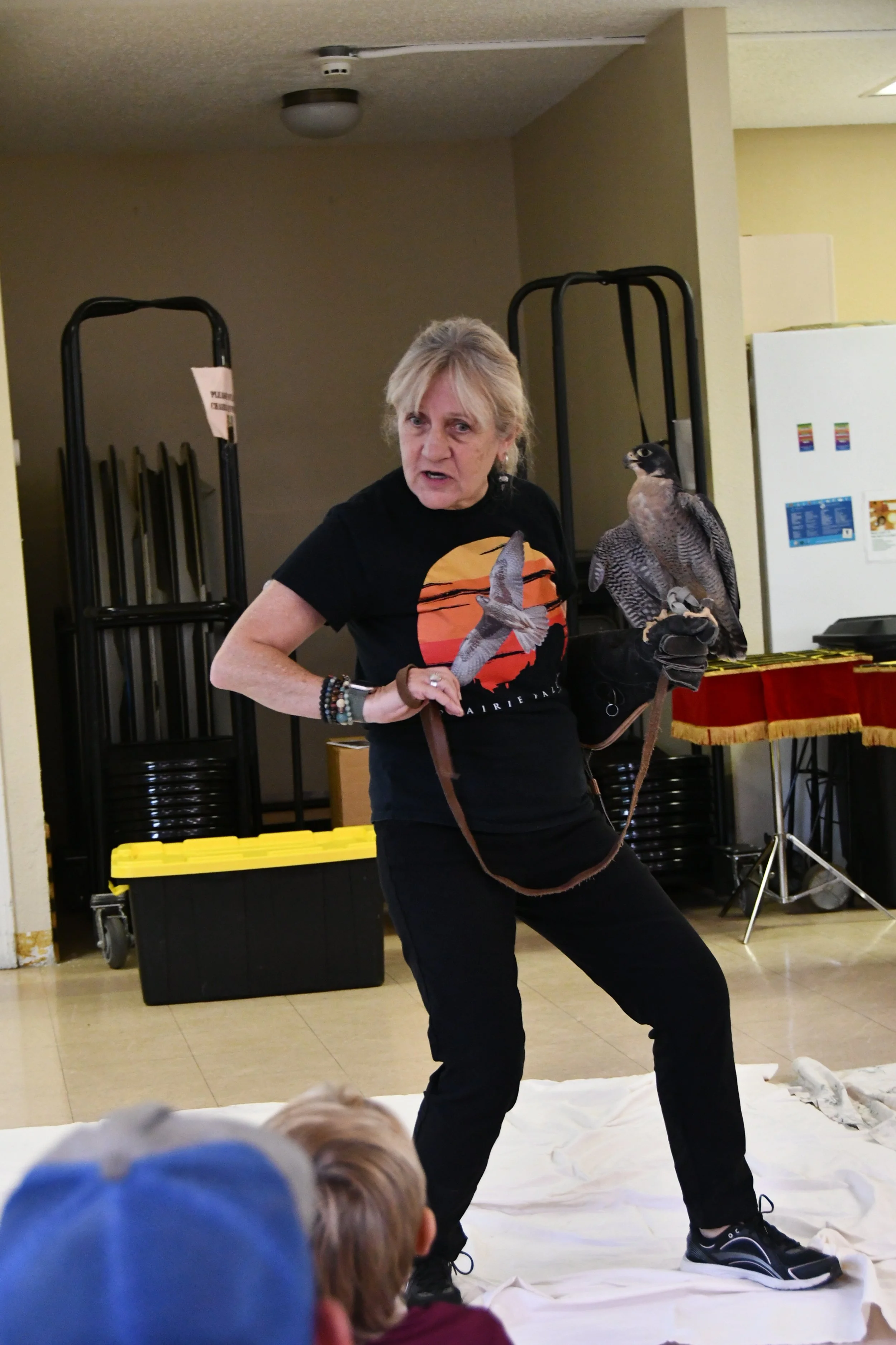 Hawks Aloft volunteer showing off her Swainson’s hawk.