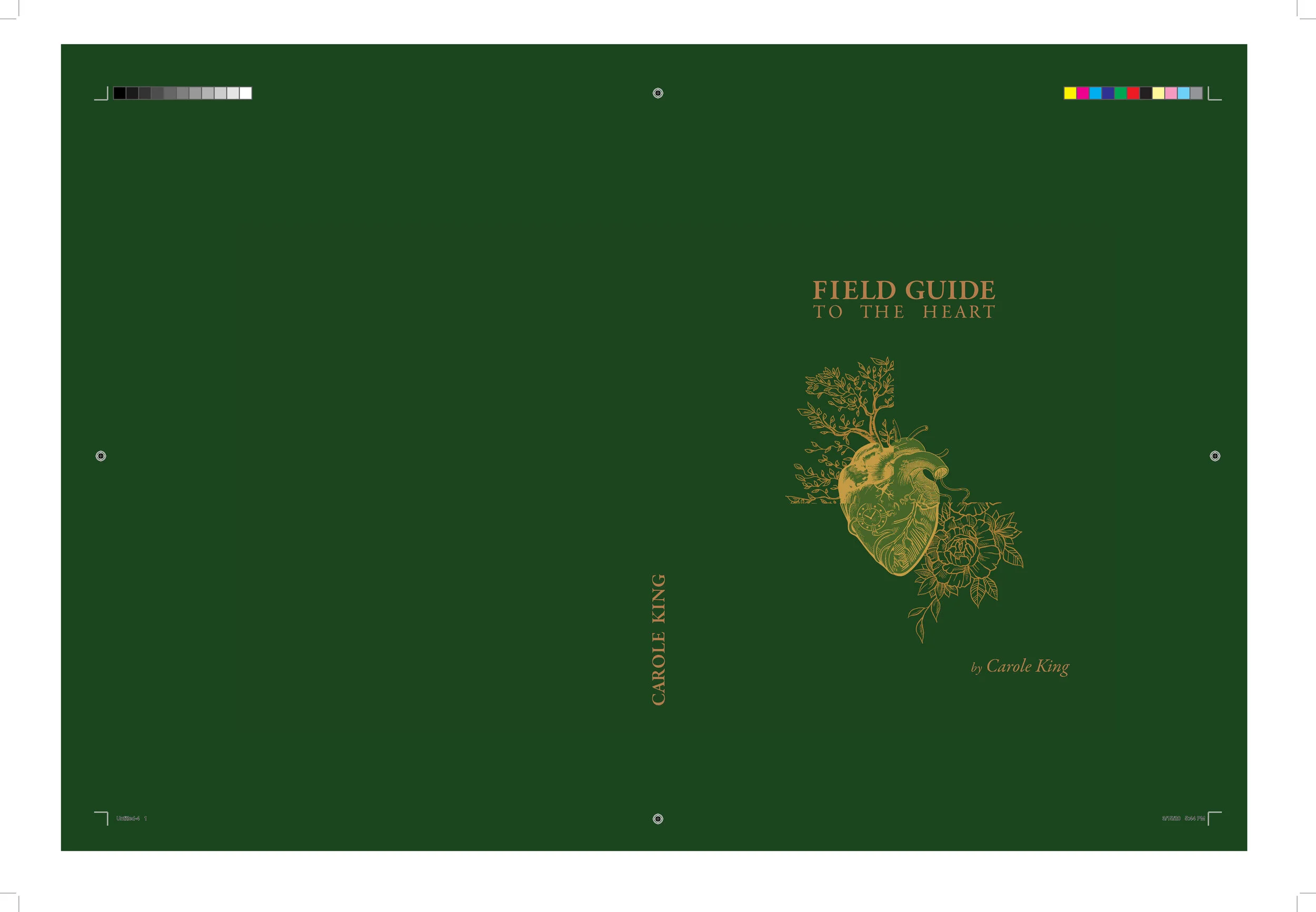 Final Final Final Cover.jpg