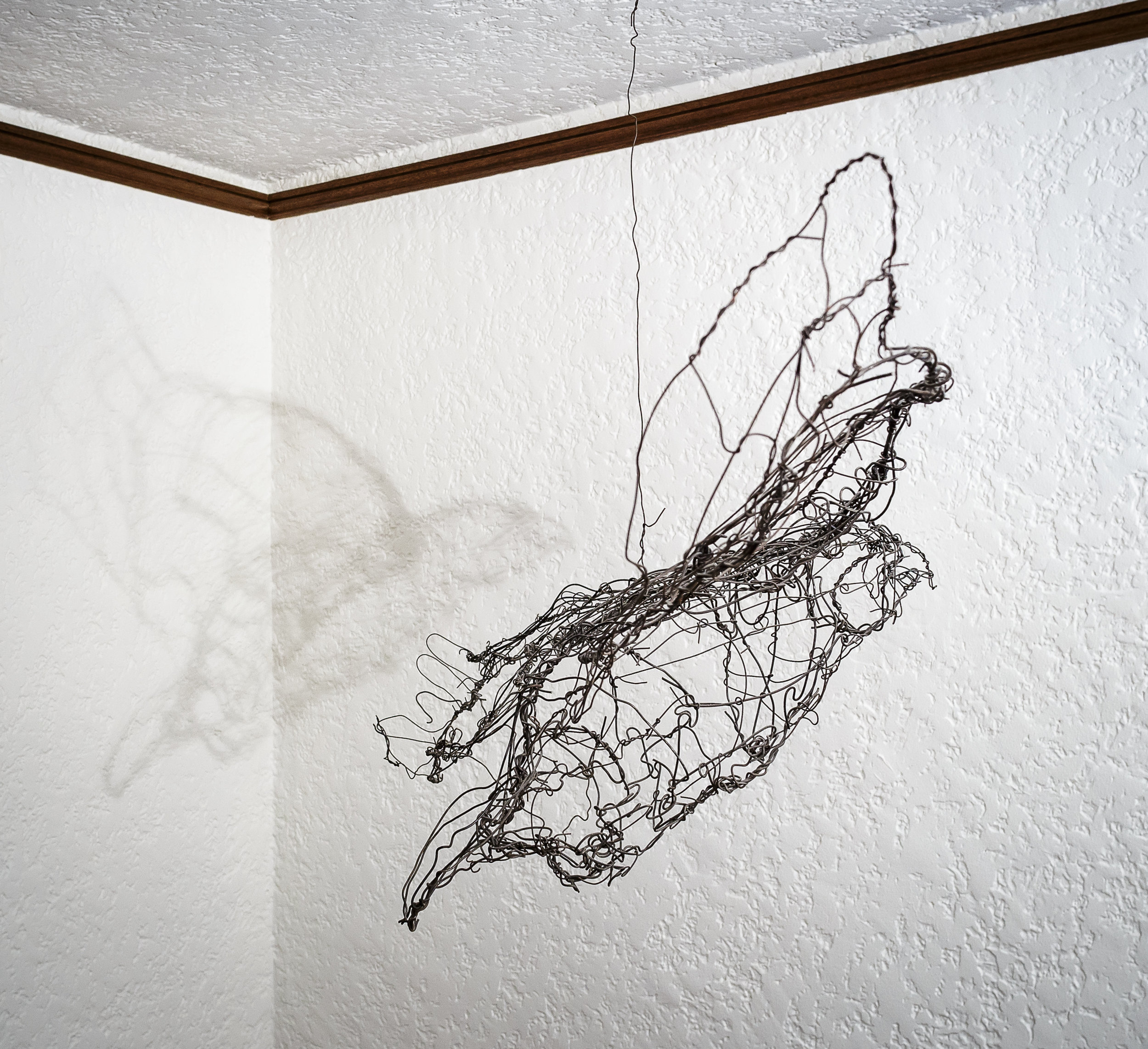 flight wire 45"w x 14"h x 19"d 1,200.00