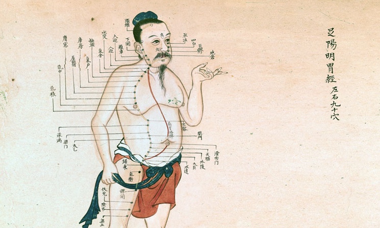 acupuncture-points.jpeg