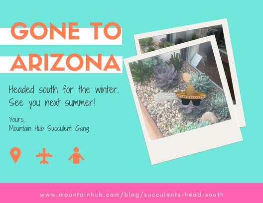 gone-to-arizona.png