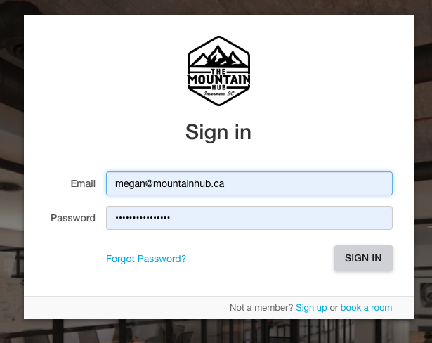 Screen Shot 2019-04-25 at 12.06.33 PM.png