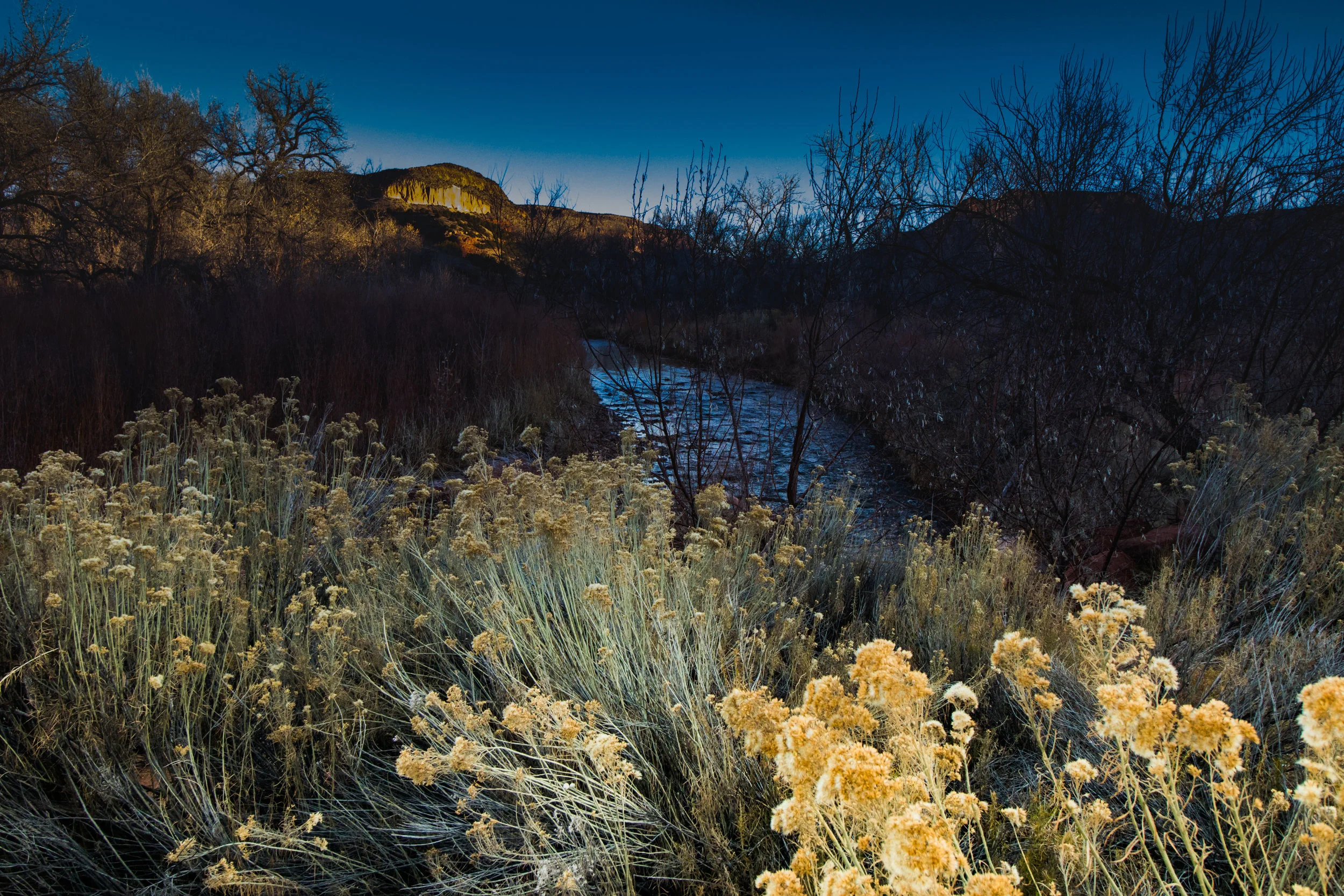 Winter morning river walk