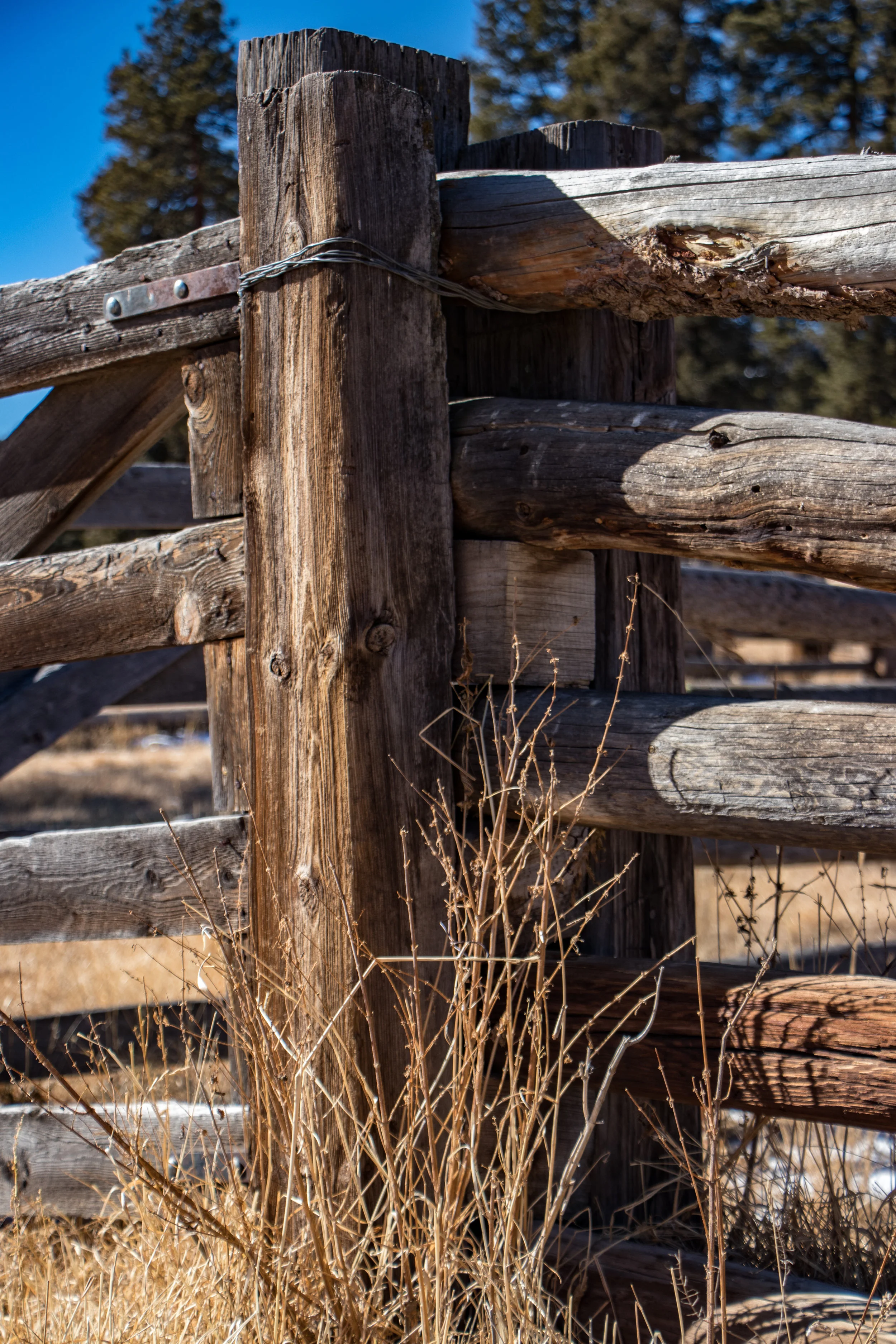 Fence Post