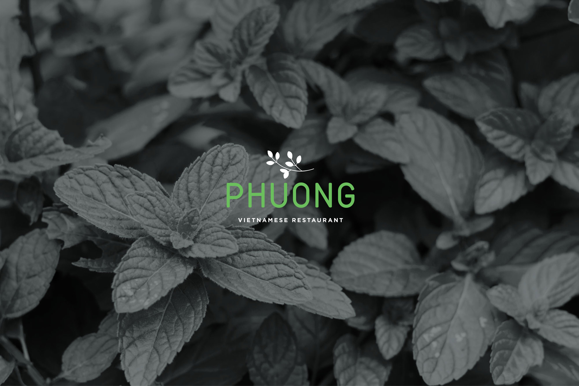 PHUONG-BANNER-MINT-BLACK.jpg