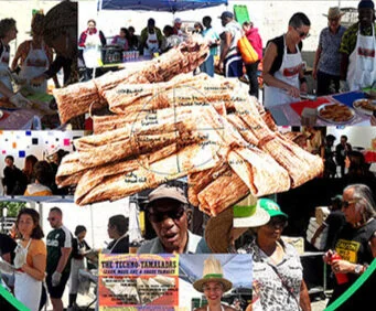 Las Techno-Tamaladas, University of Guelph