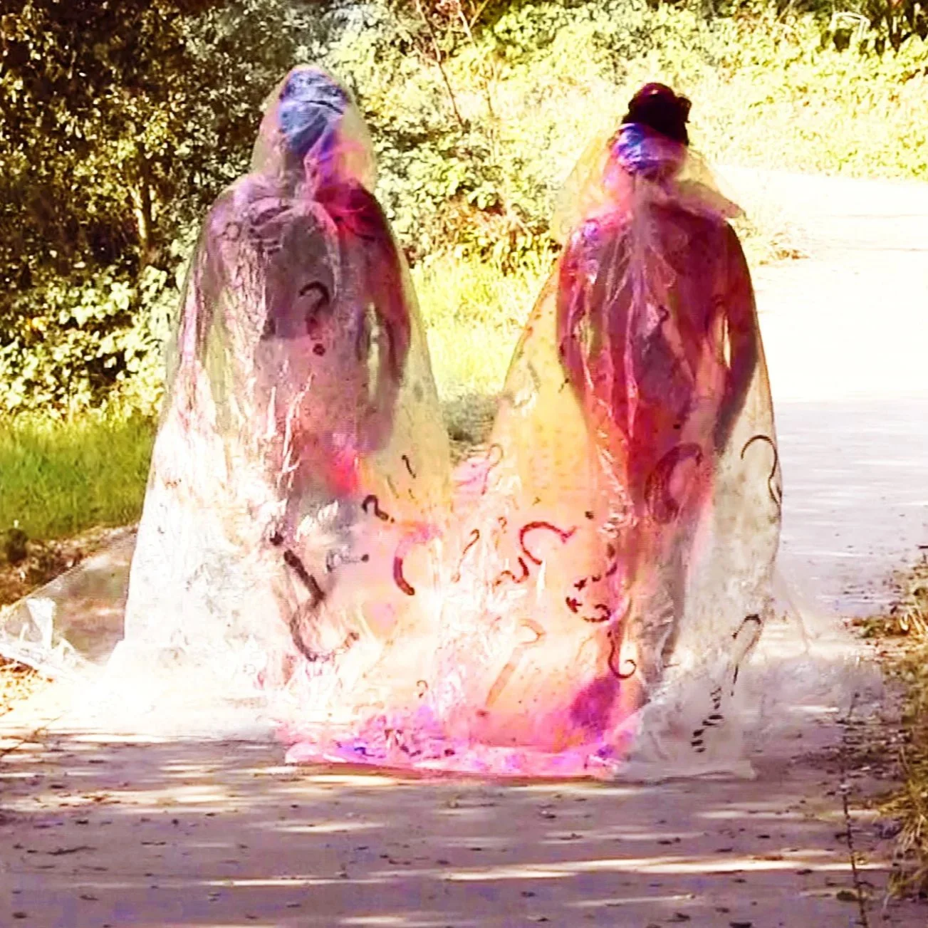 LARVAL SOMATICS Art Residency