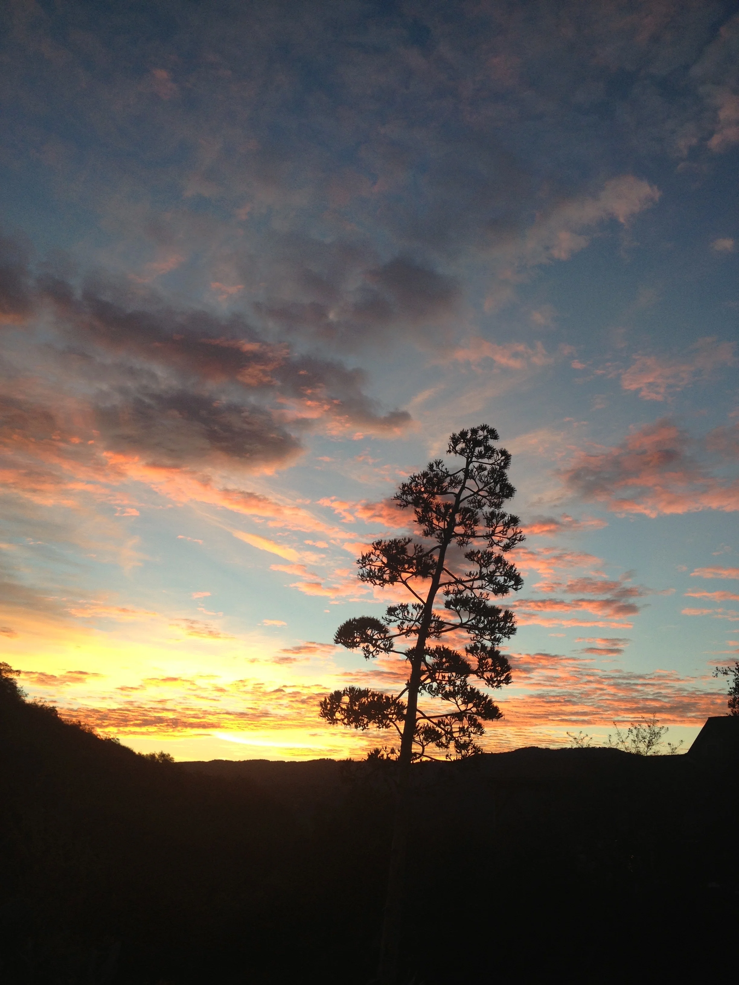 Ojai trails at Sunset