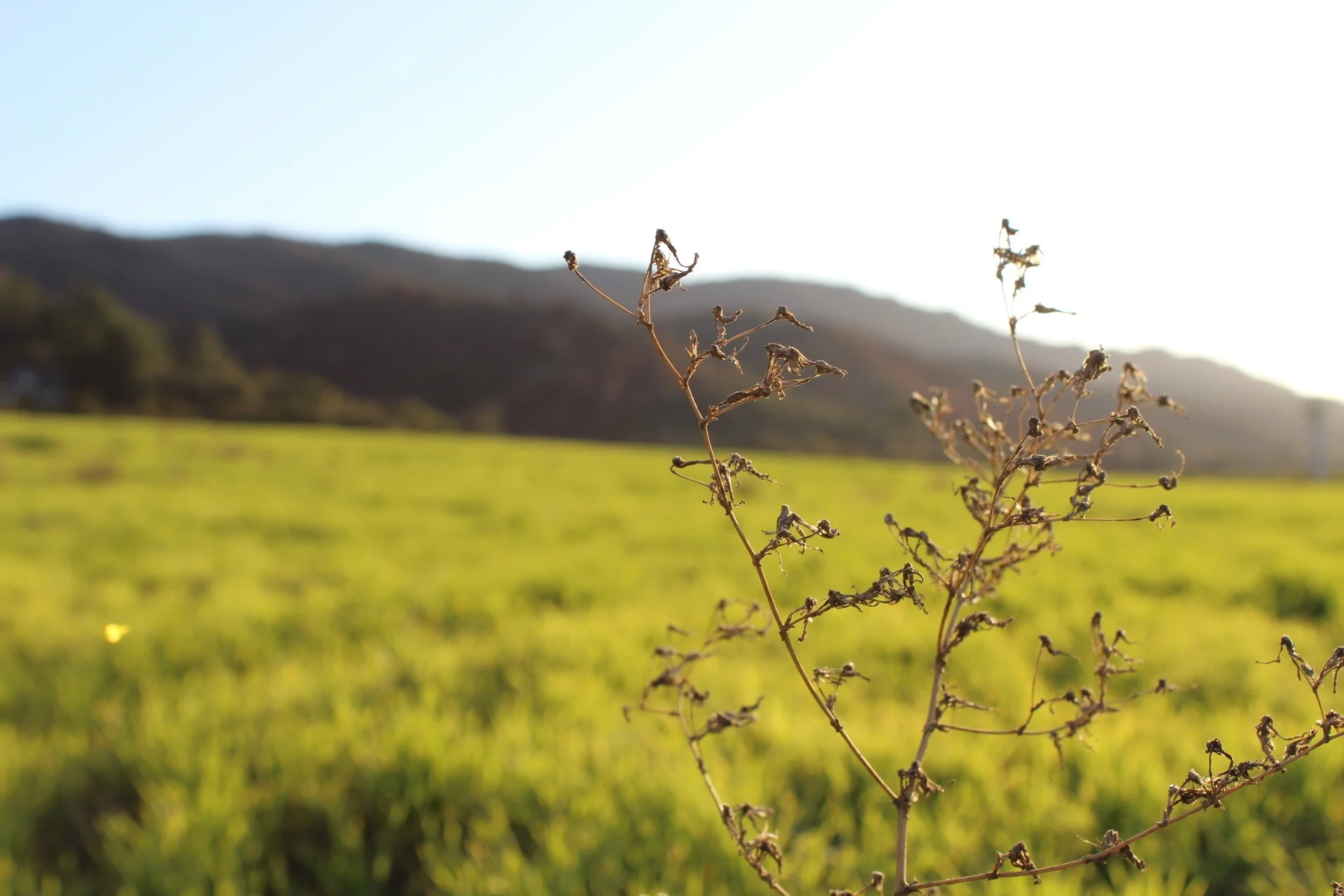 Spring afternoon.