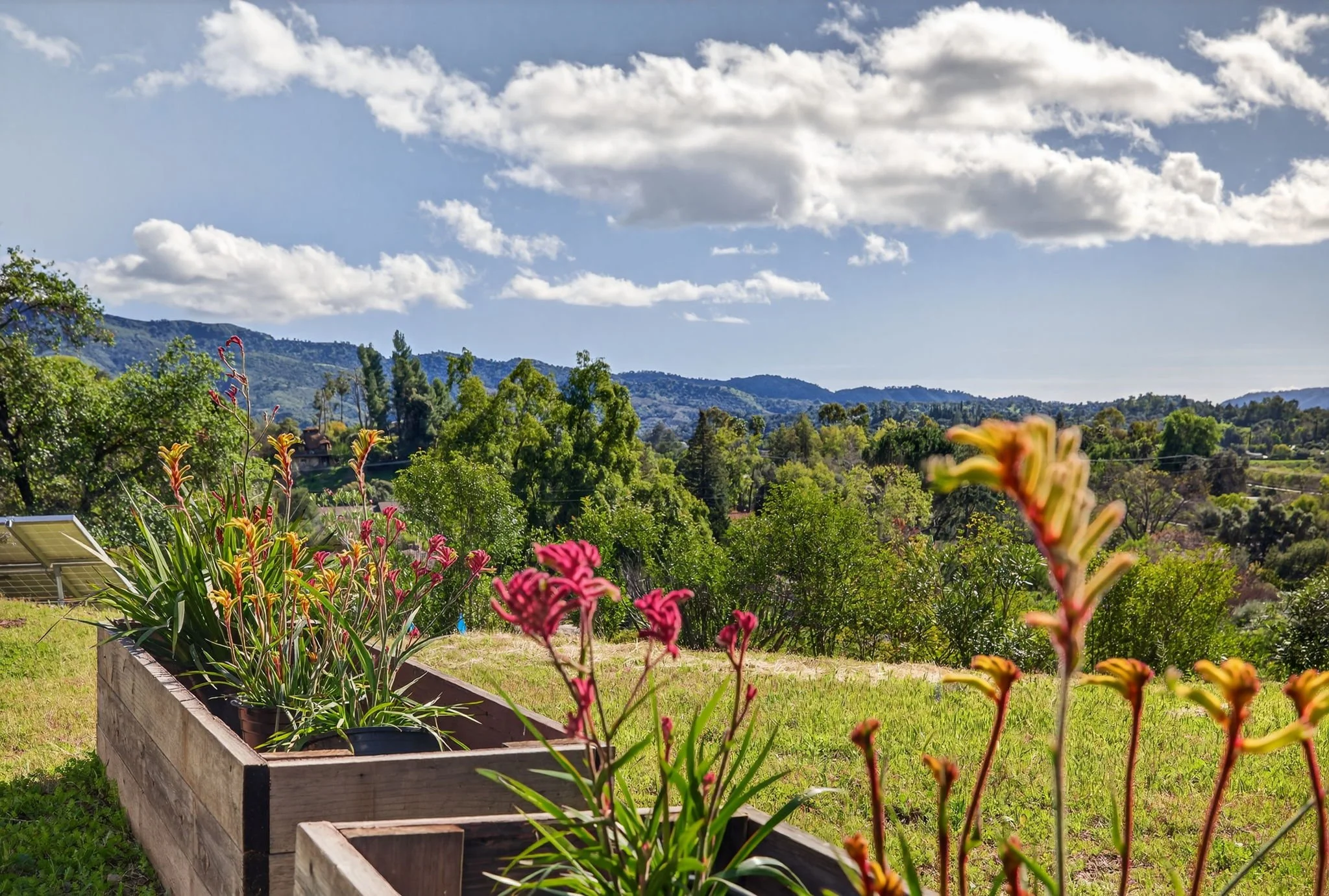 96-web-or-mls-UpmarketMedia-1130Ran-290.jpg