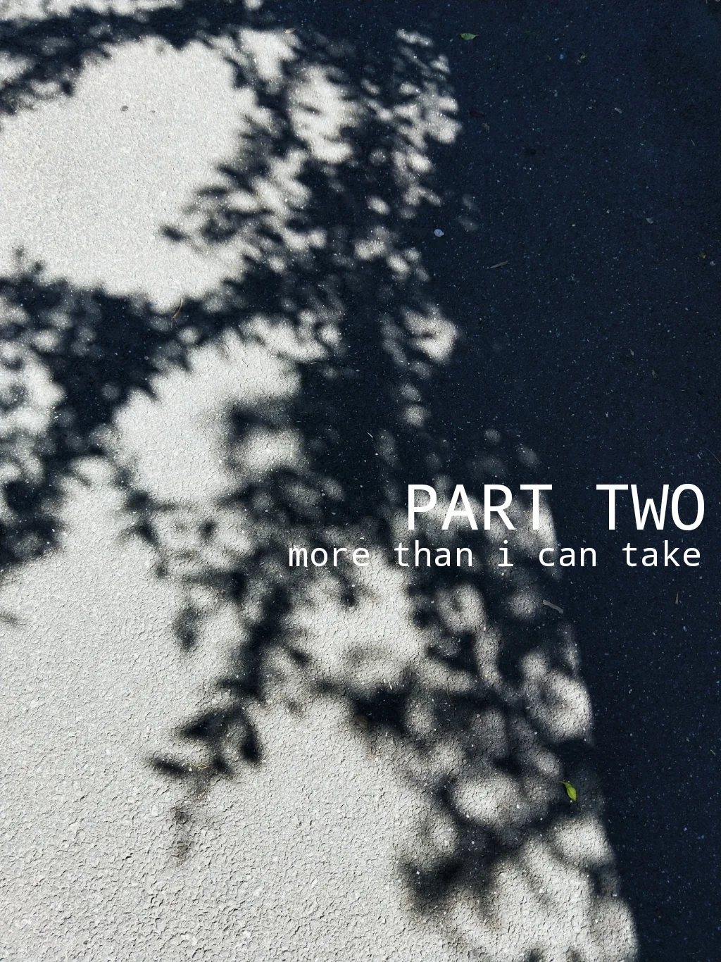 part two: more than I can take