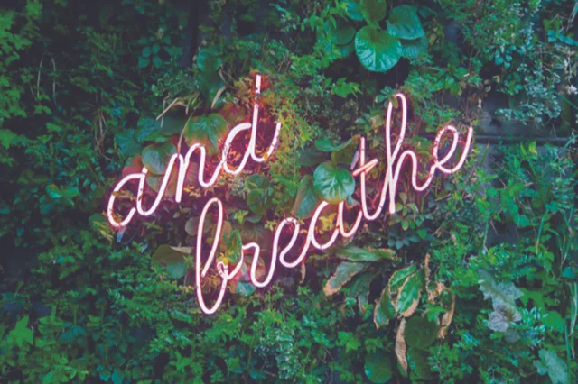 Taster Workshop 8: Wellness for Business