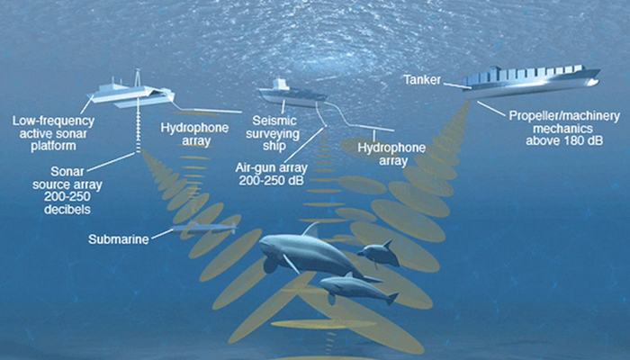 Diagram that shows propagation of sound underwater