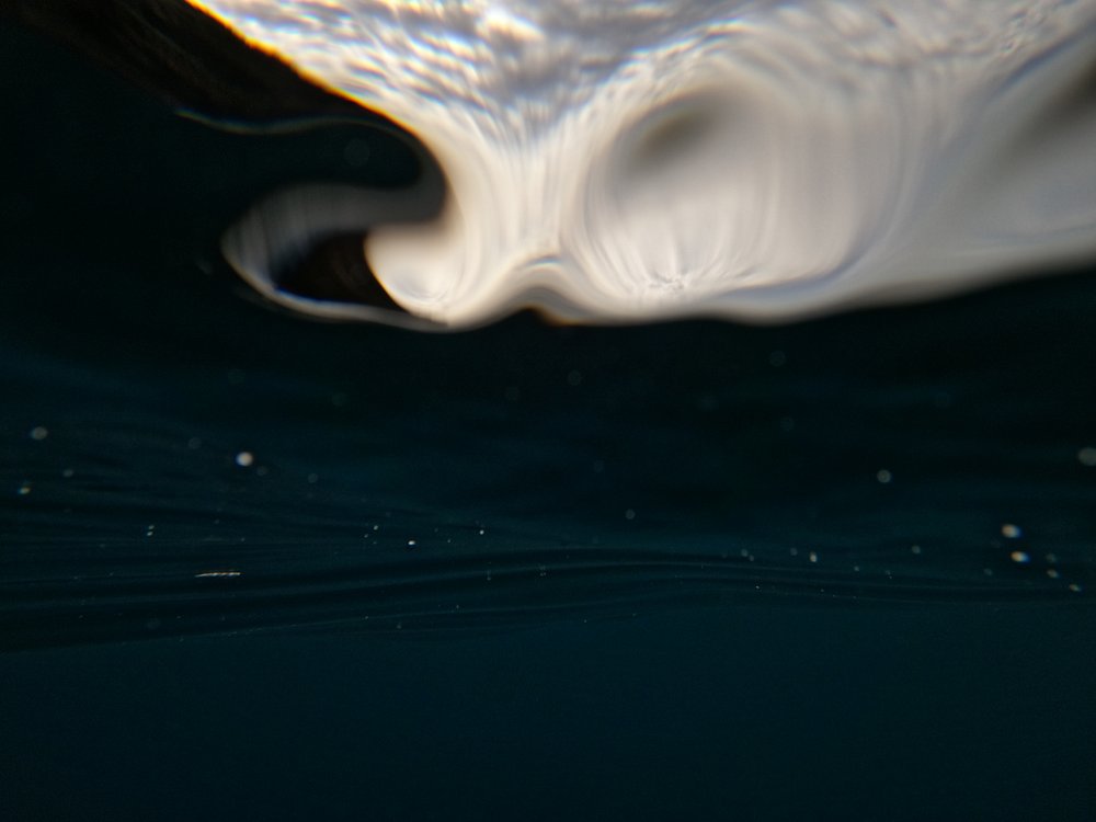 Underwater filming at Garajau