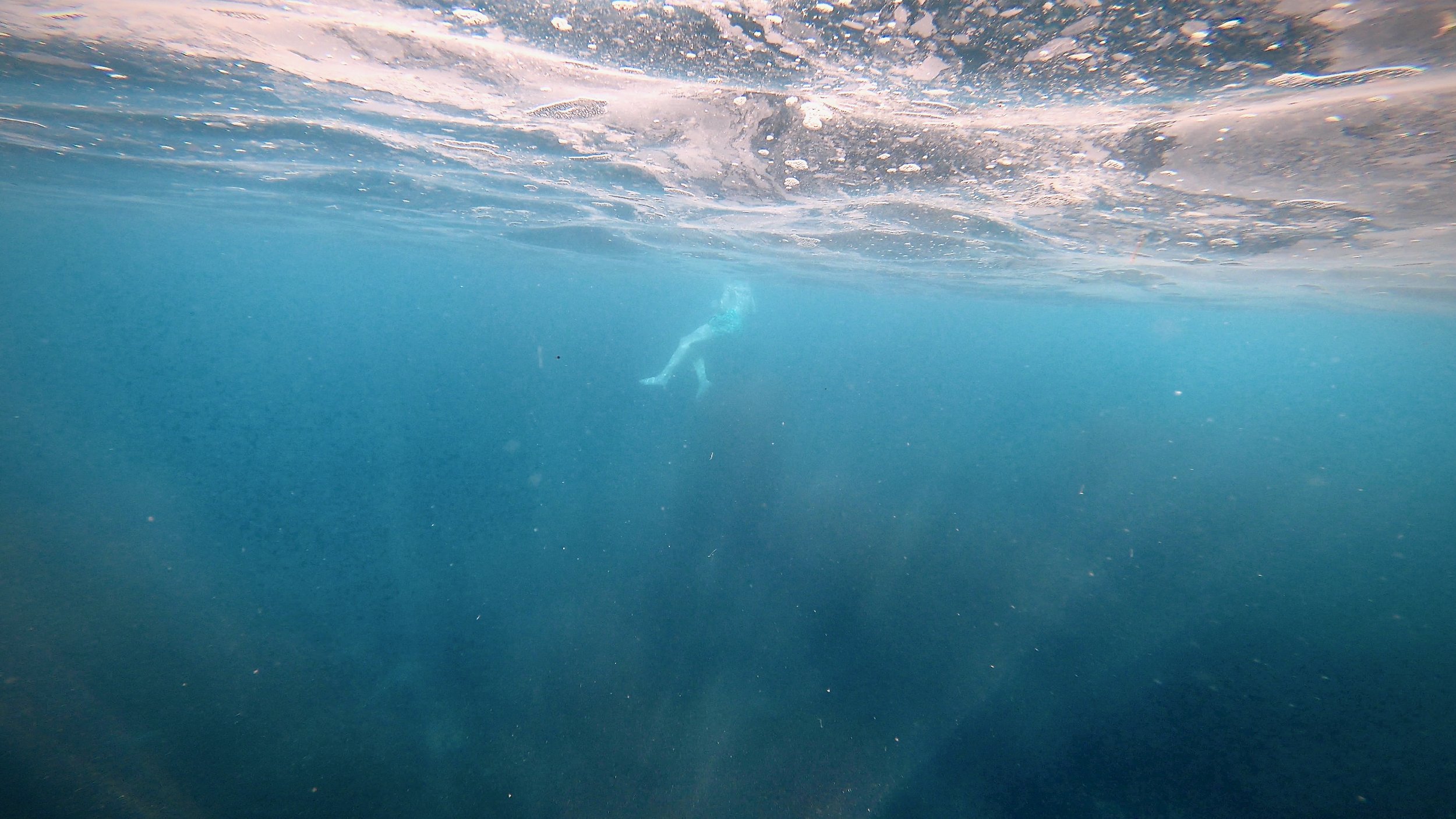 Underwater filming at Garajau