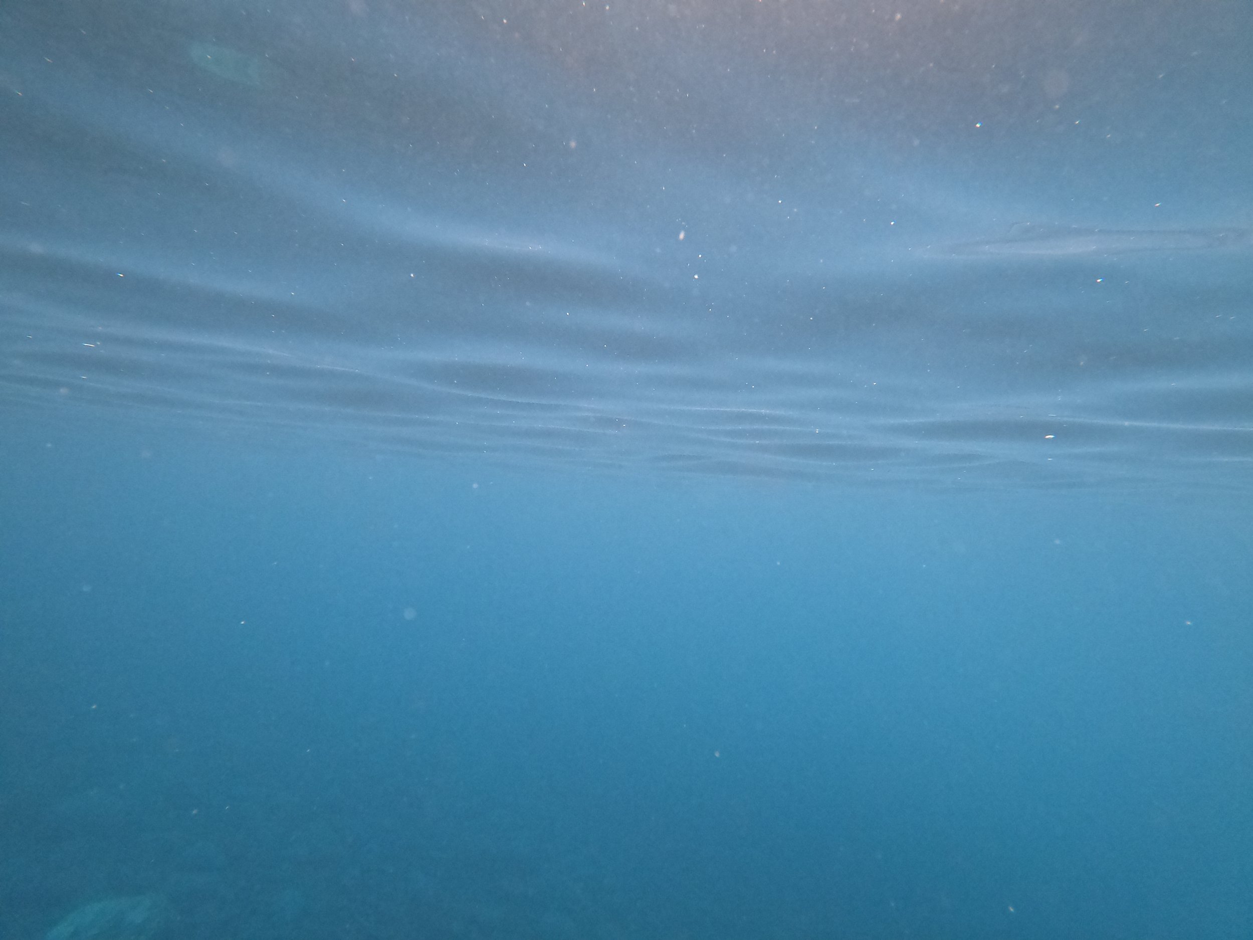 Underwater filming at Garajau