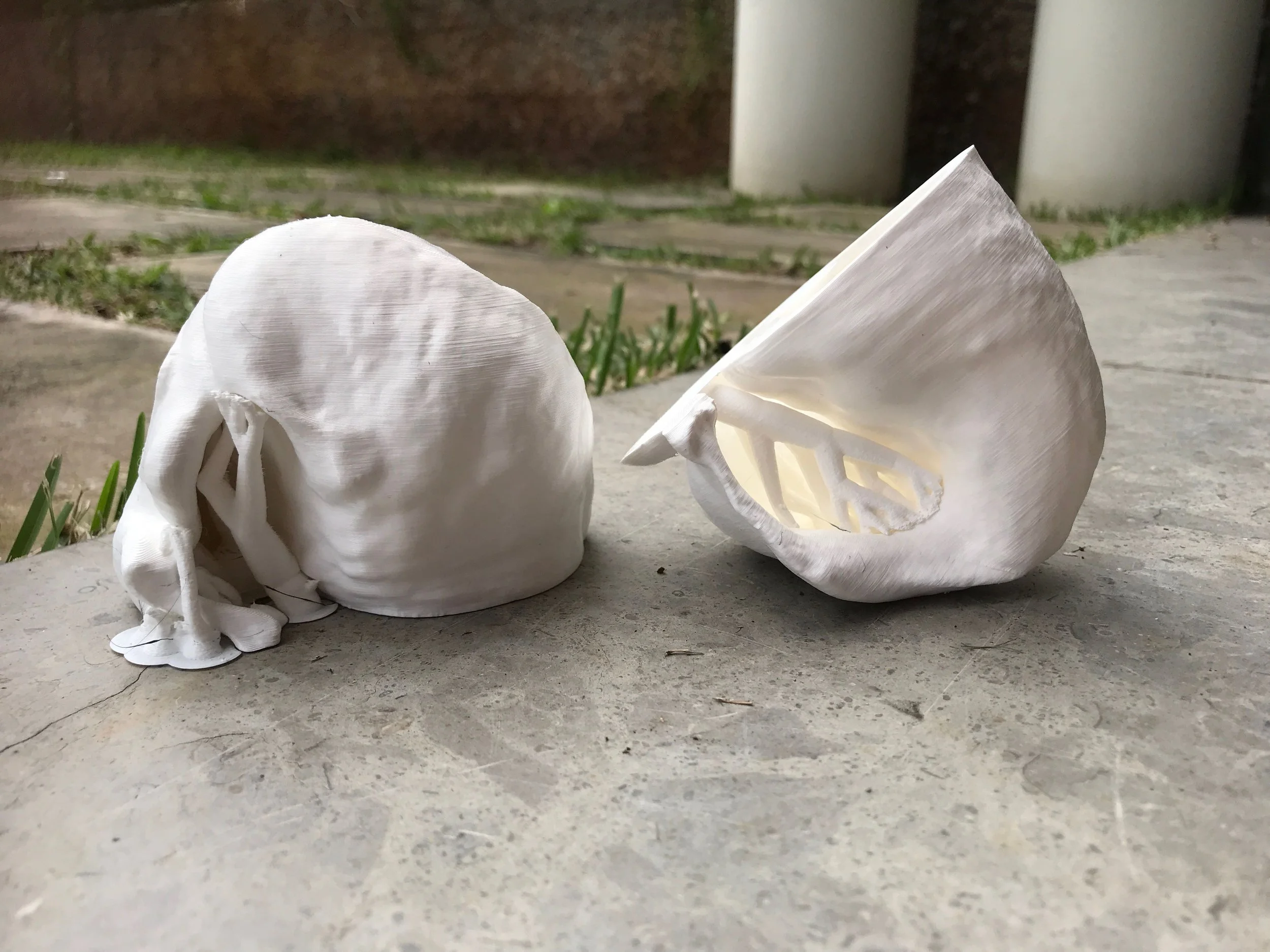 Immersions: Week Eight