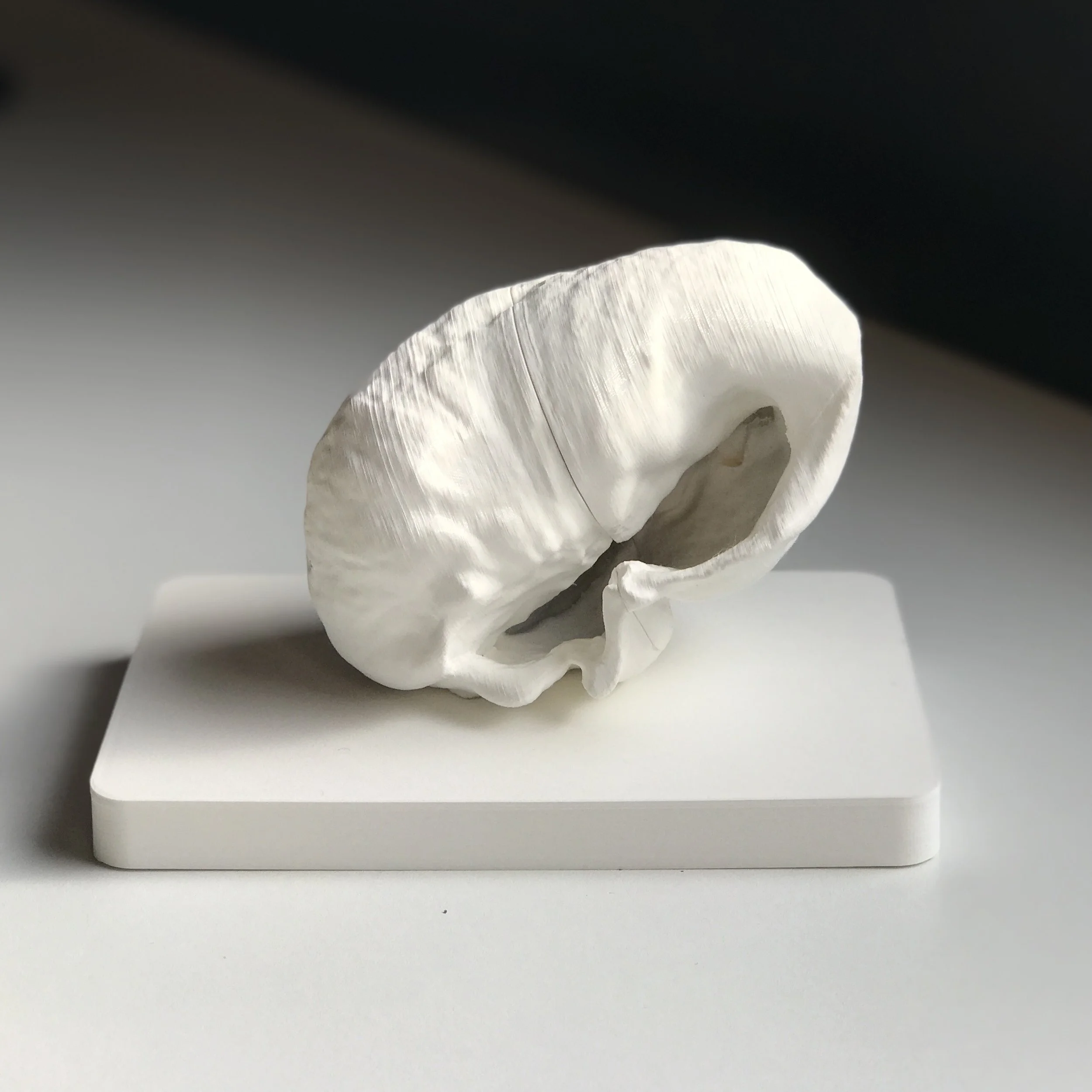 Immersions: Week Ten, Eleven and Twelve