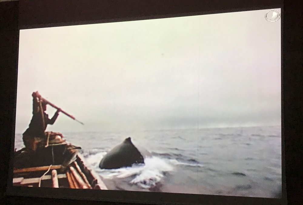 Video still of whale hunt, Museo da Baleia