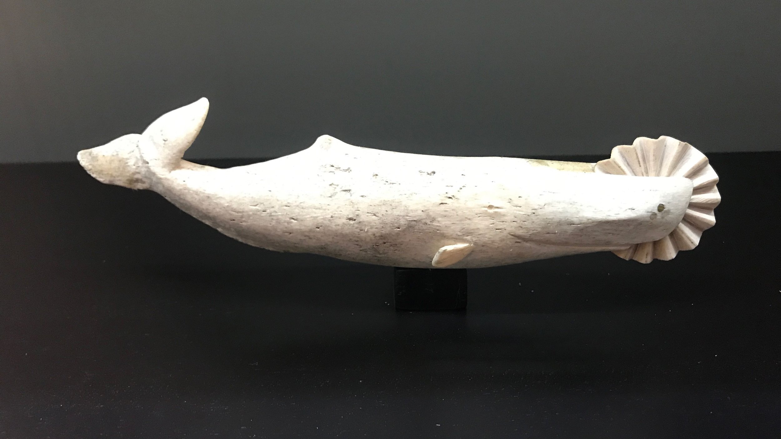 Scrimshaw (whale bone carving) pastry knife, Museo da Baleia