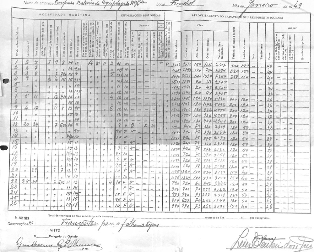 Inventory of whale products, Museo da Baleia