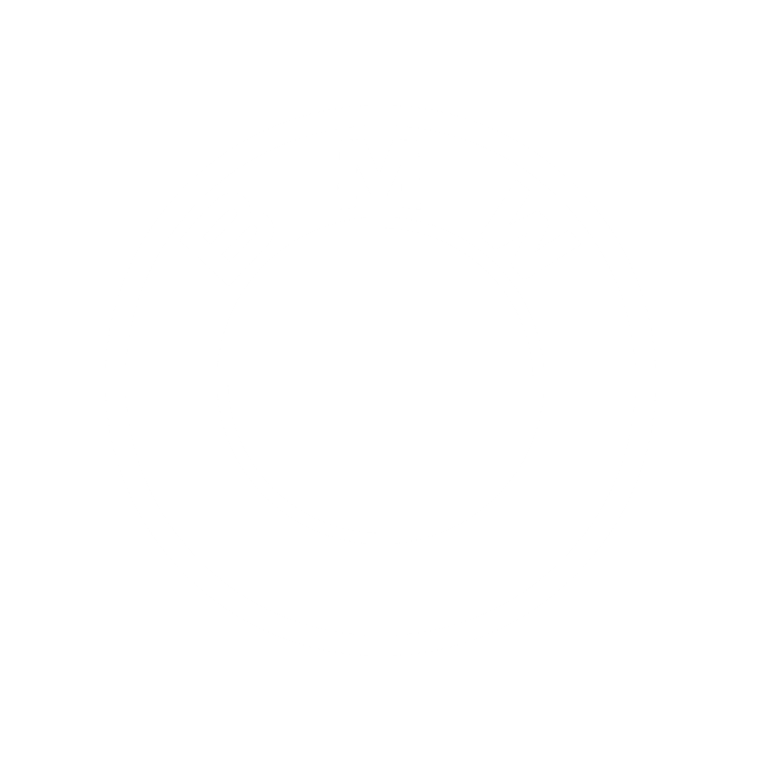 BMW logo - kopie.png