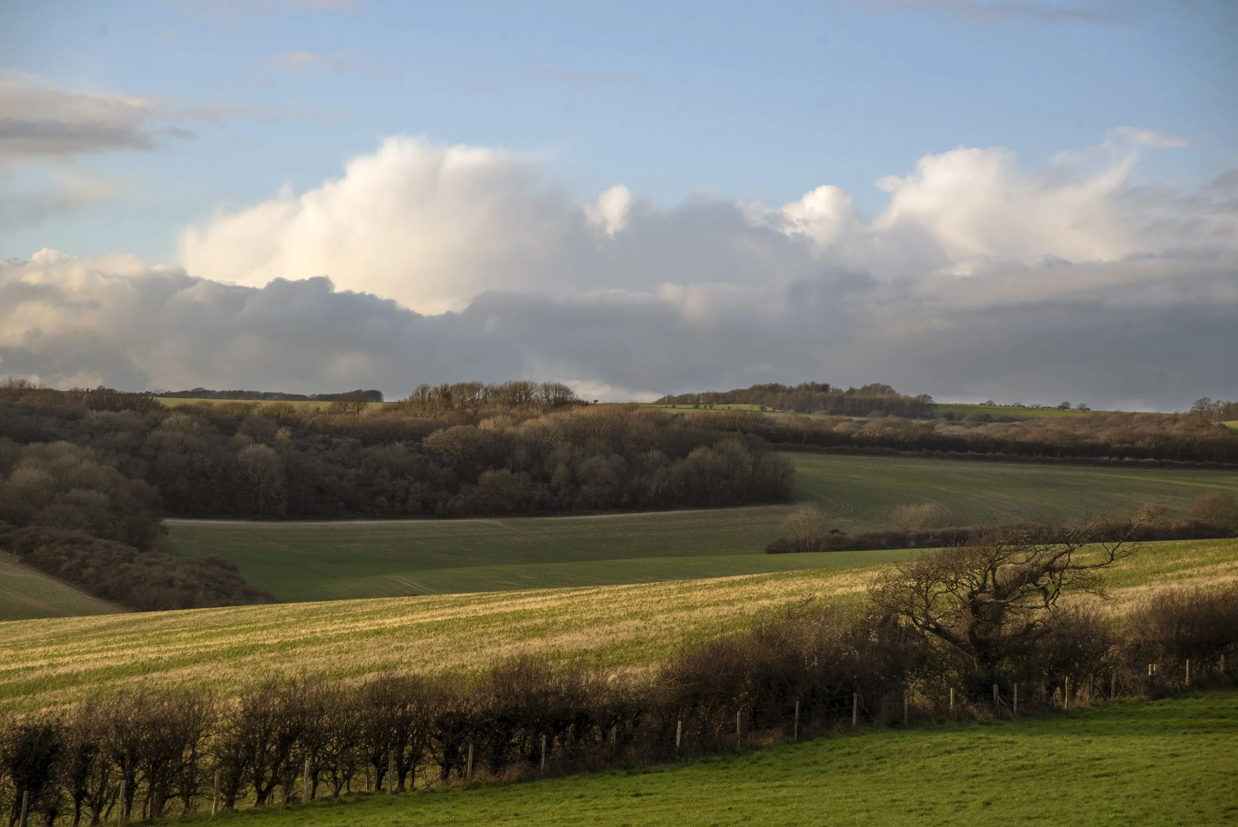 South Downs.jpg