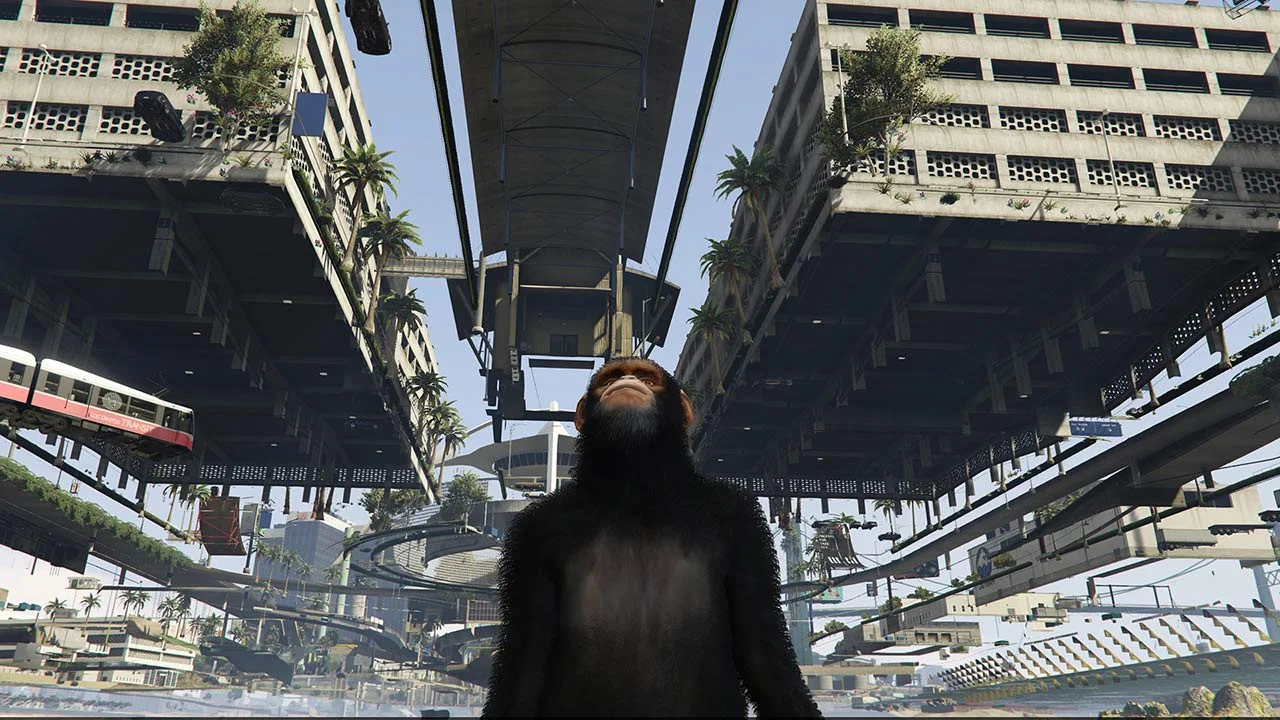 grand ape town 2.jpg