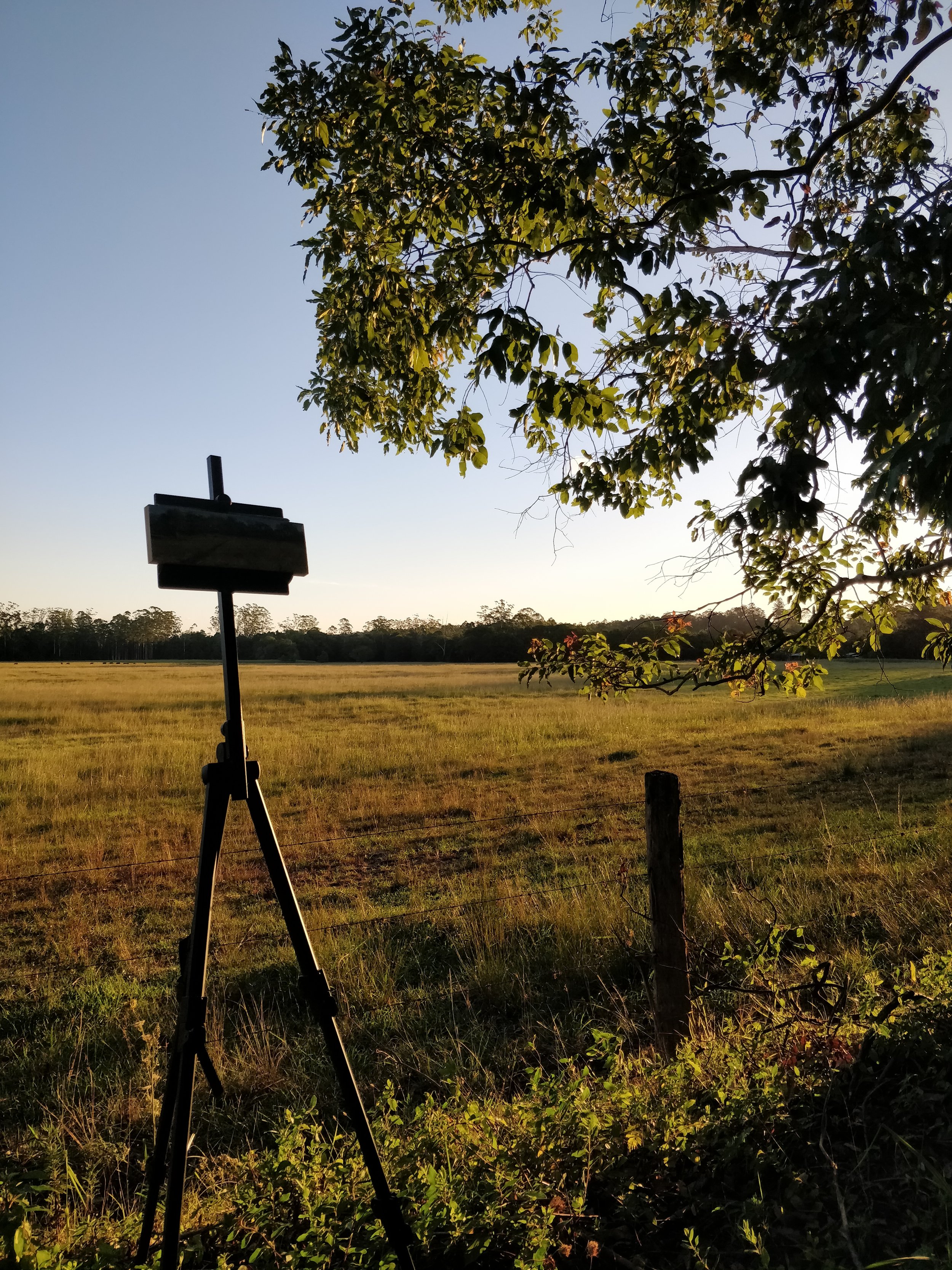 Plein Air Landscape