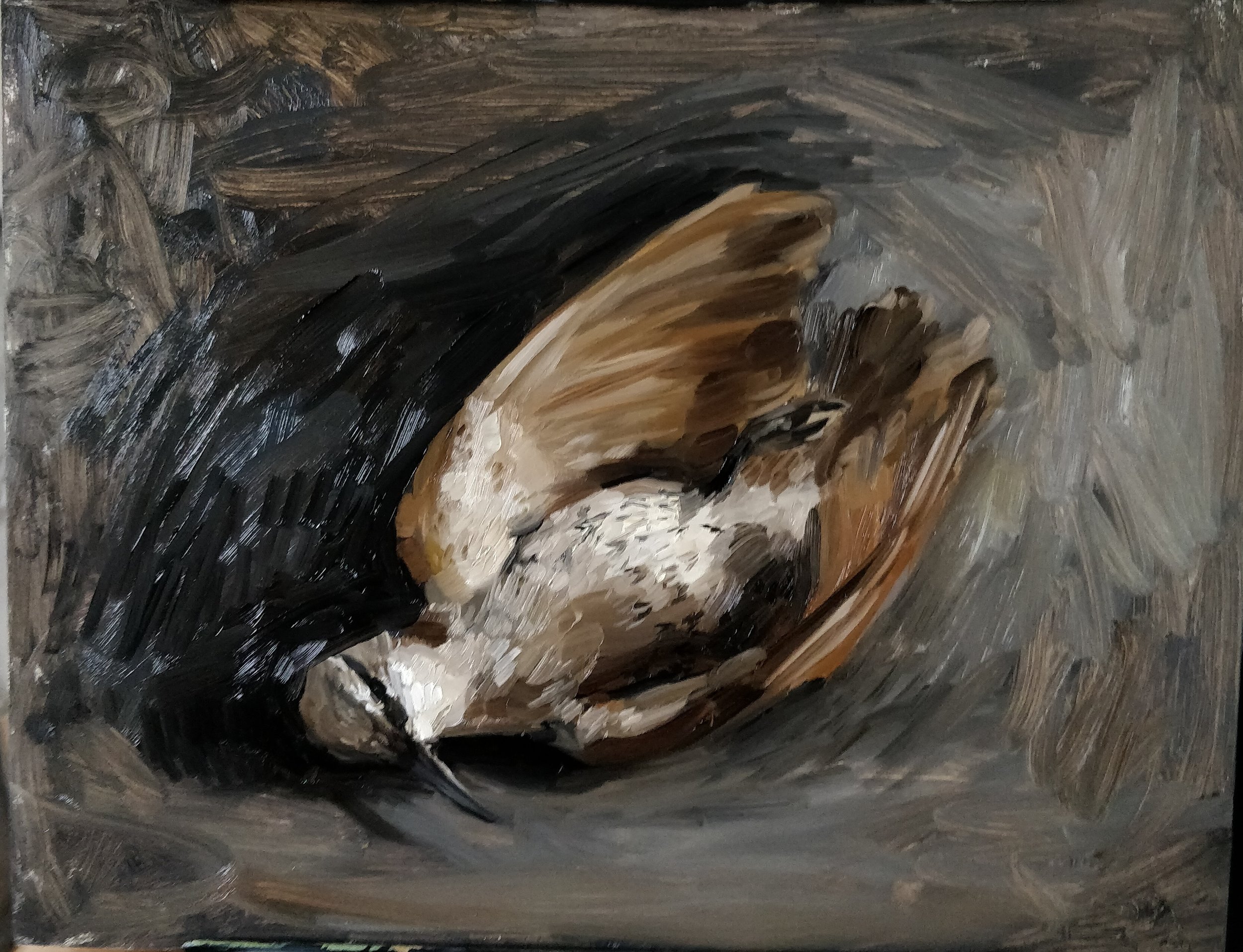 Fallen, Oil on Panel