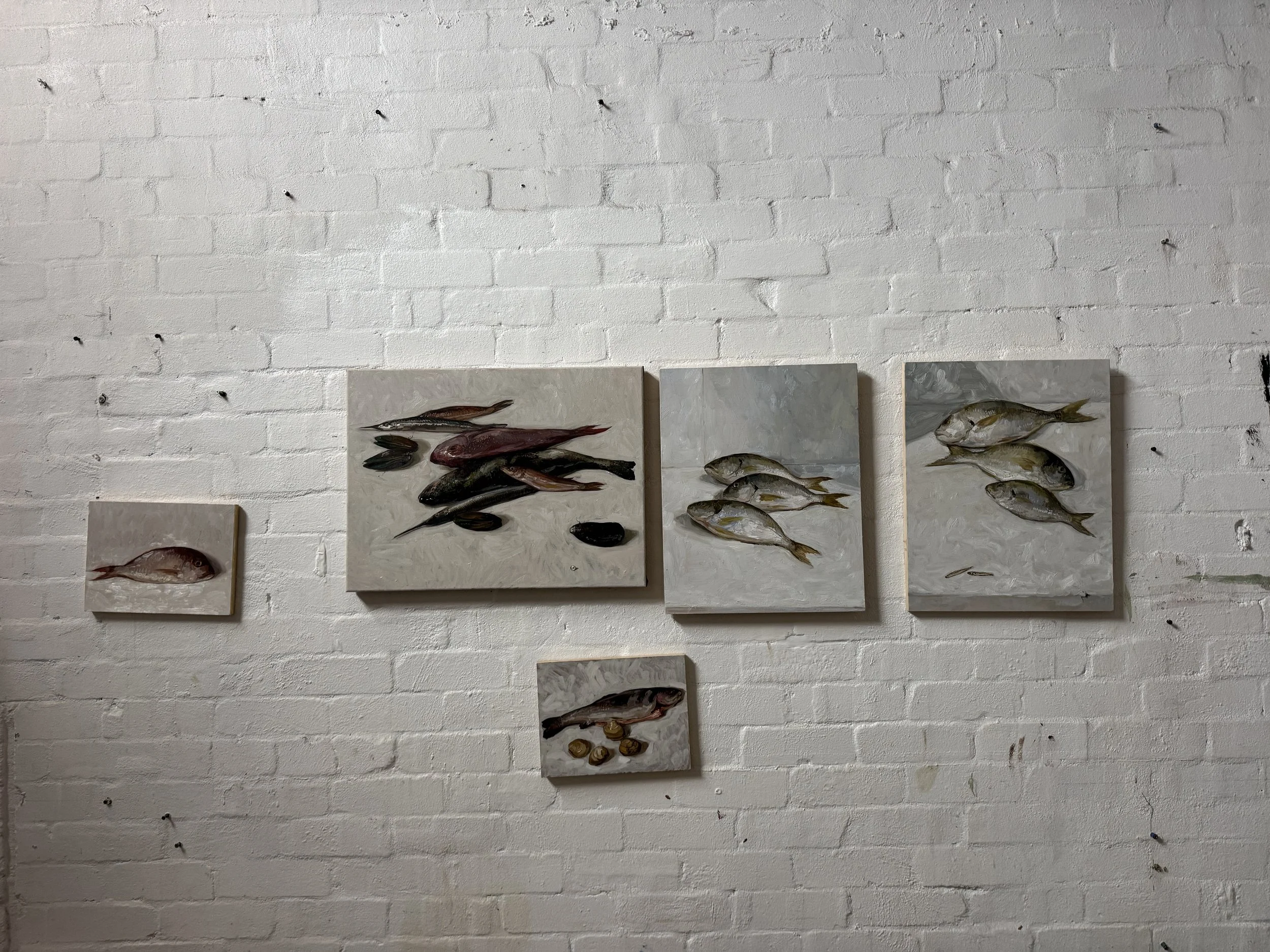 Alice Laura Palmer Fish on Studio Wall May 2026.jpg