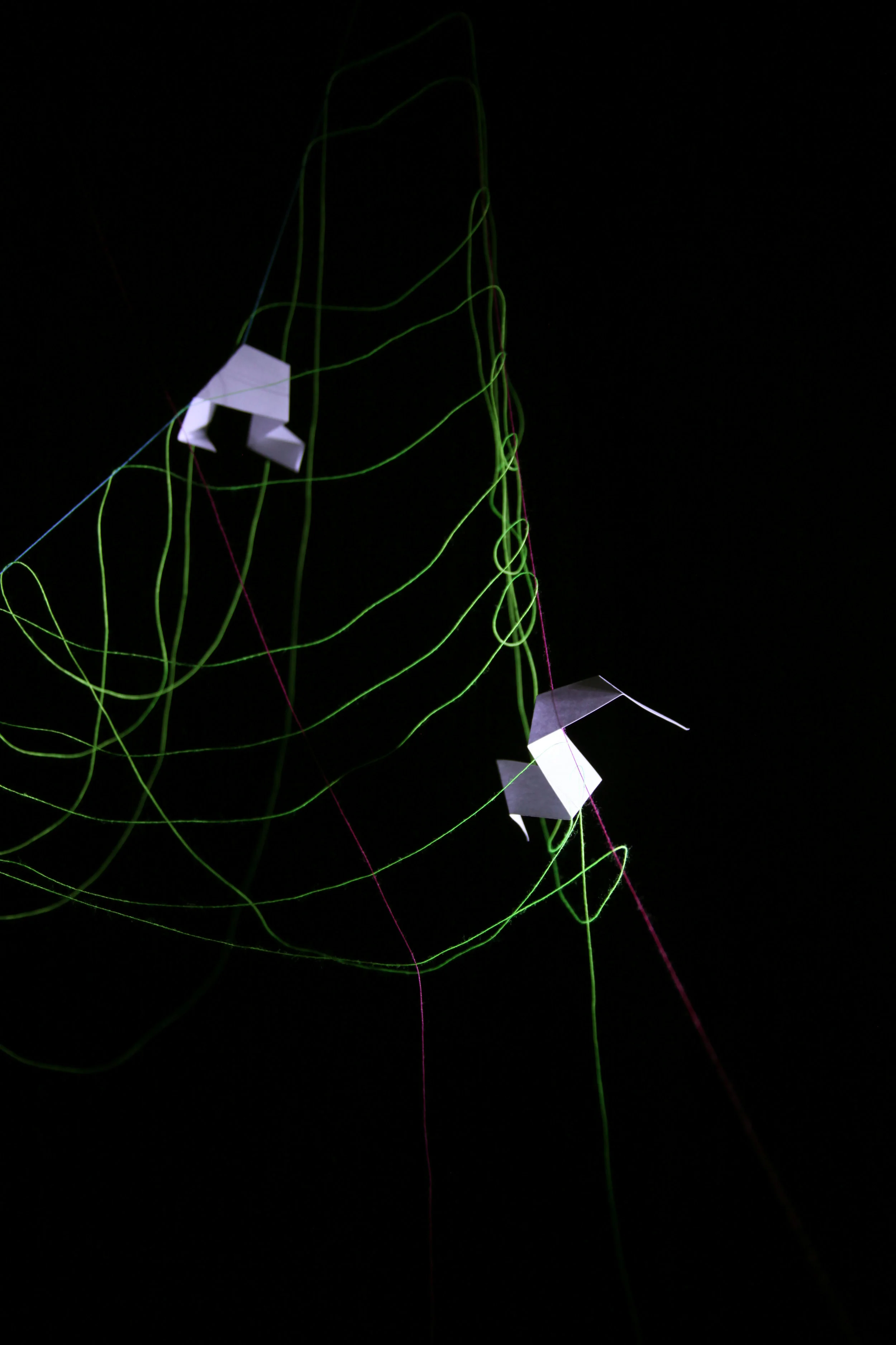 Common_Thread_Crossing_Paths_15.jpg
