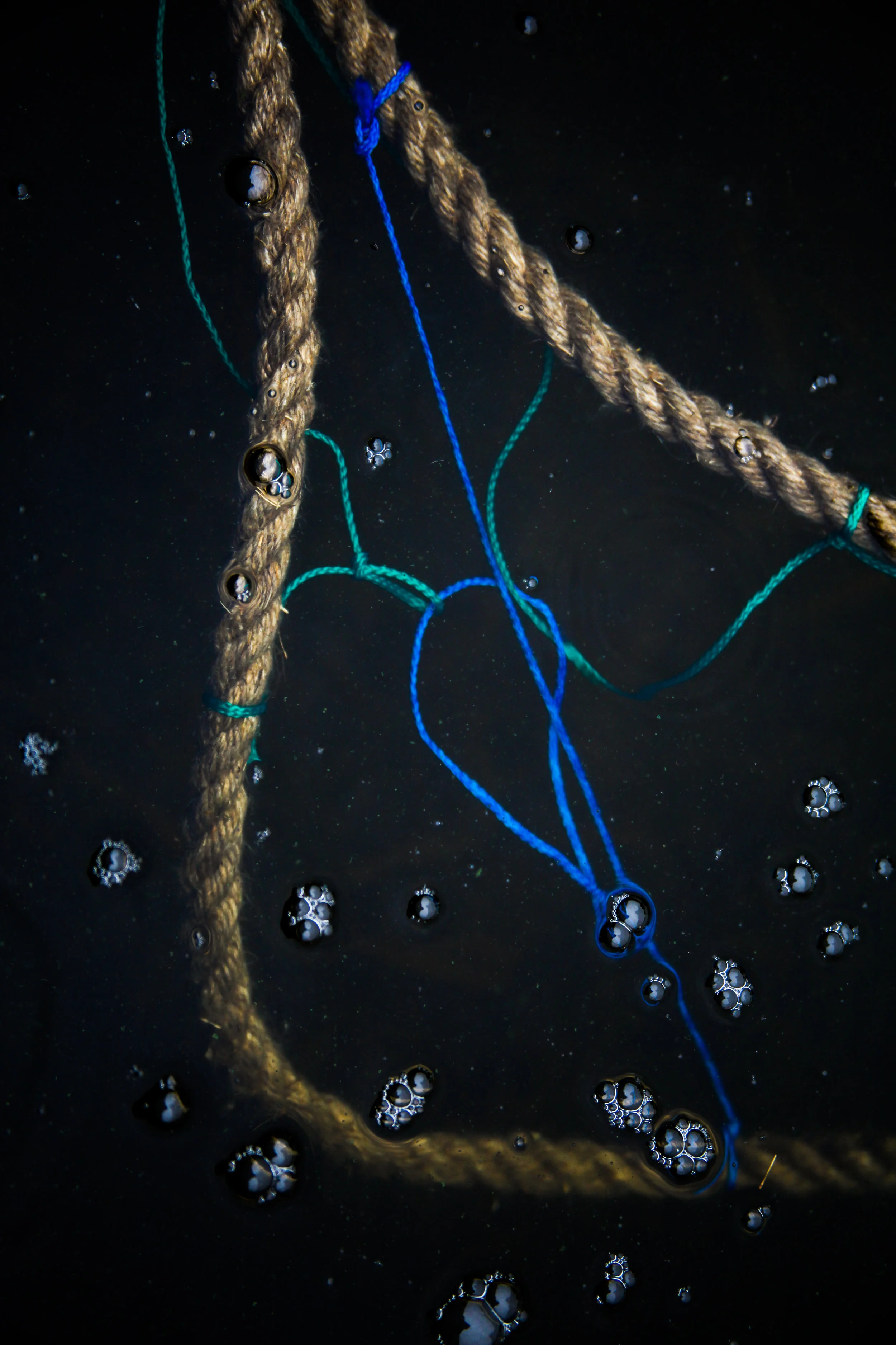 Explorations with rope in Estonia, 2017.