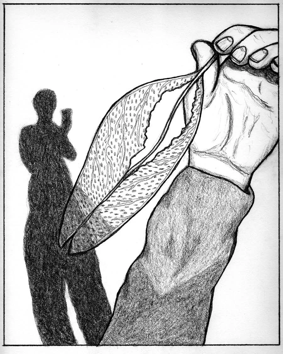 Study of a Study of a Leaf and Self , Graphite on paper, 8" x 10," 2016.