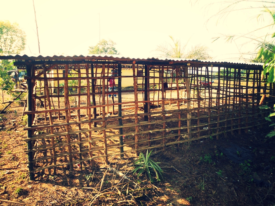 SEED Farms - Farming